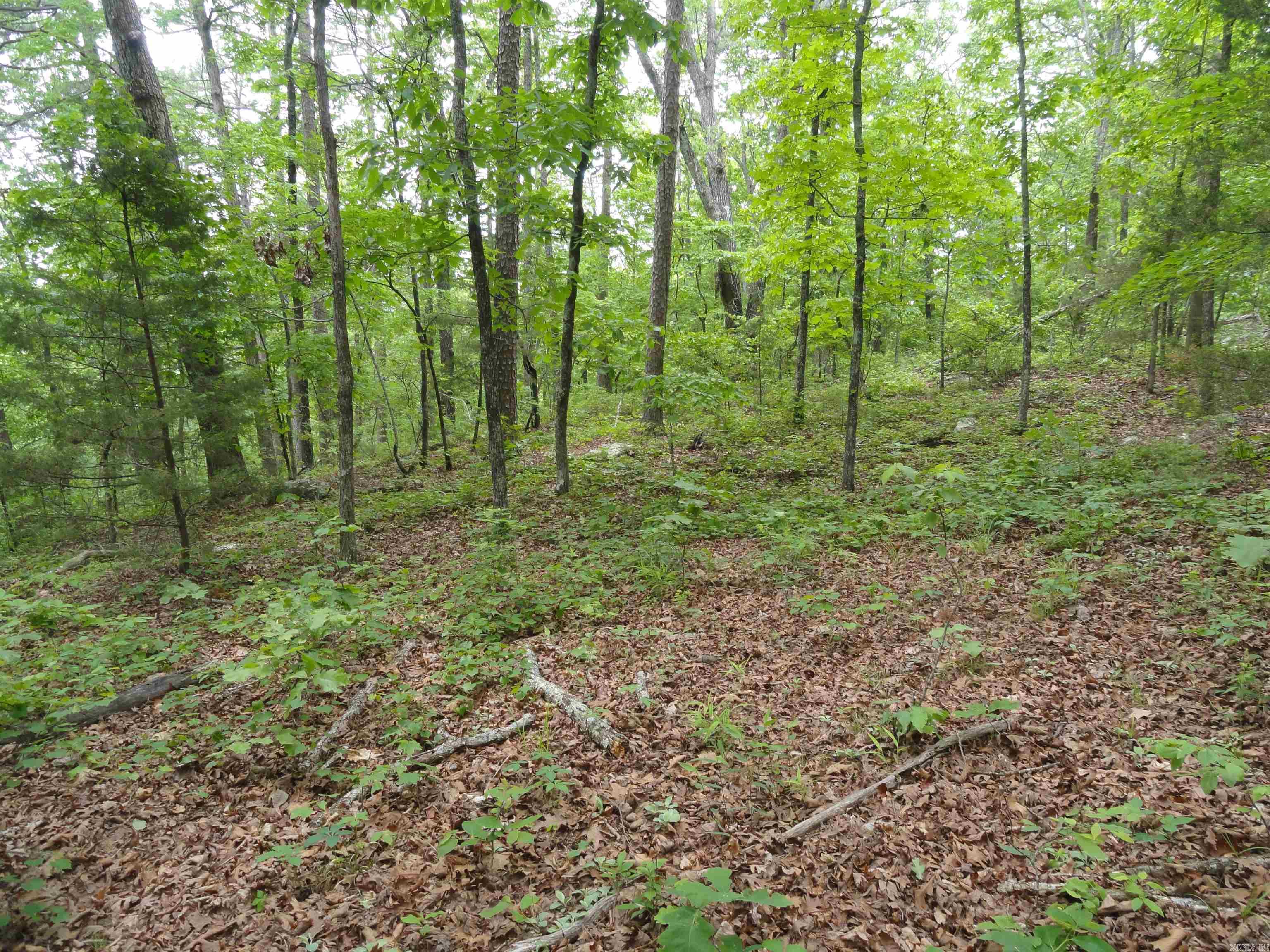 0000 Holly Mtn.  Clinton, AR