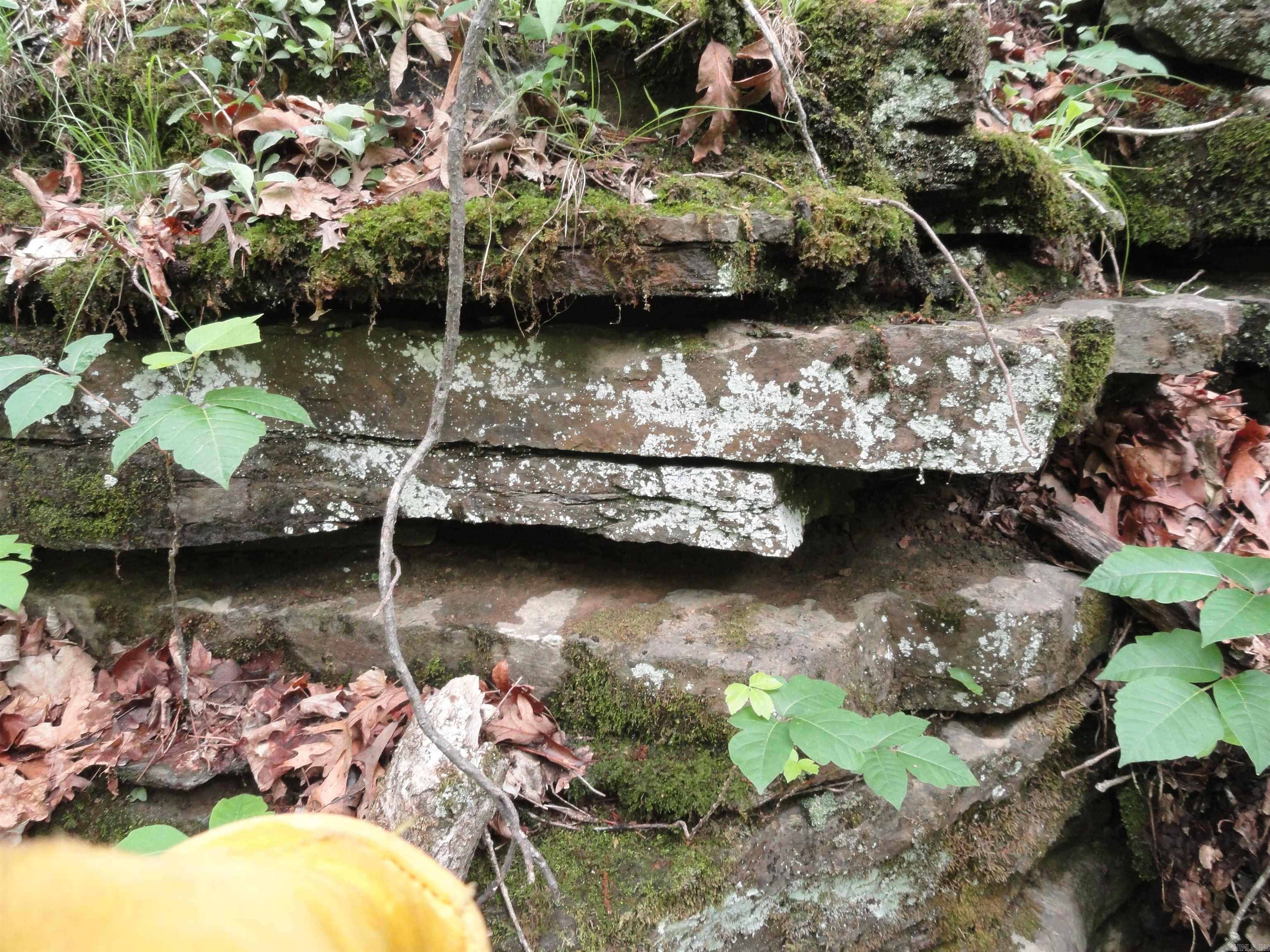 0000 Holly Mtn.  Clinton, AR