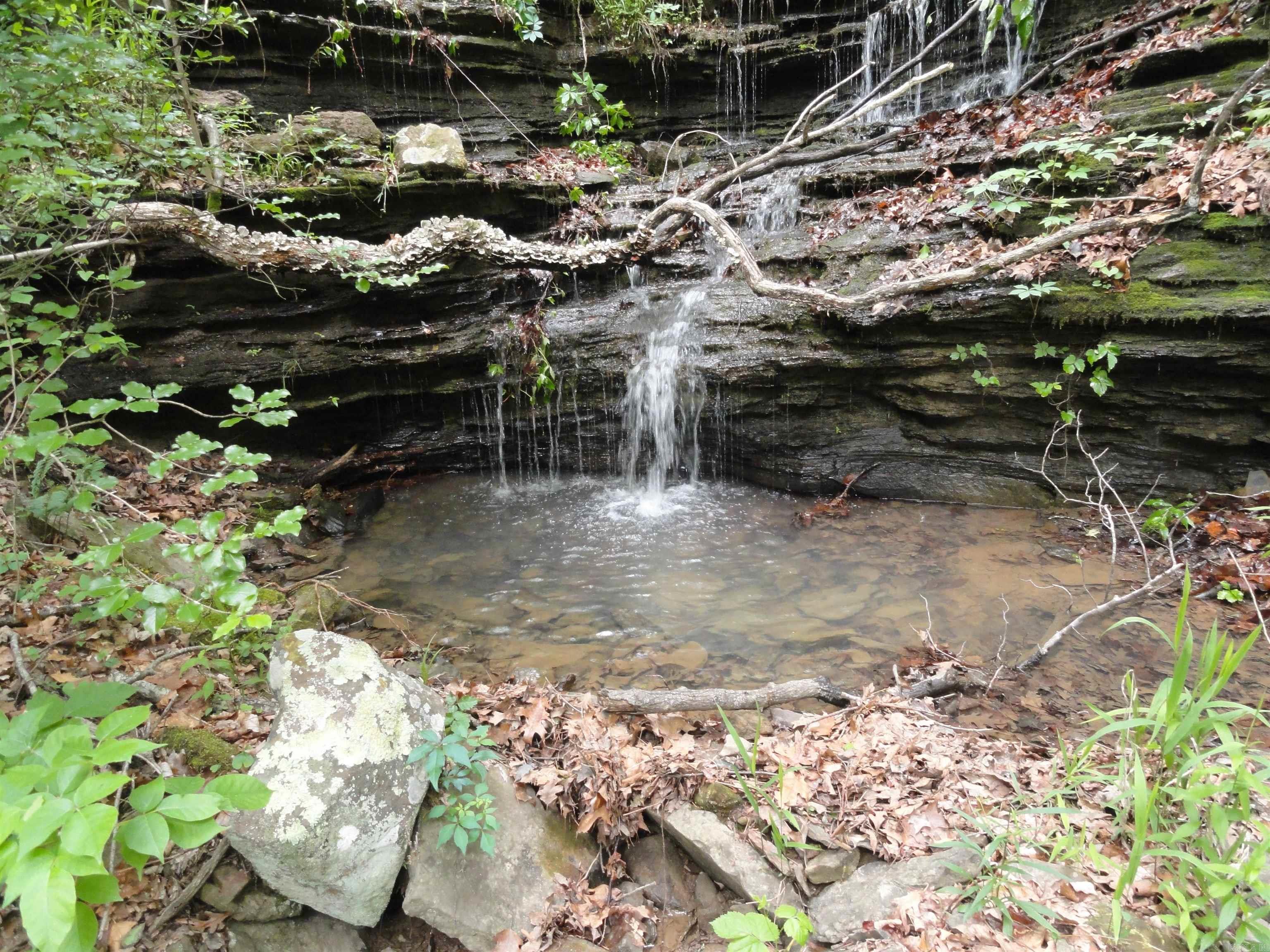 0000 Holly Mtn.  Clinton, AR