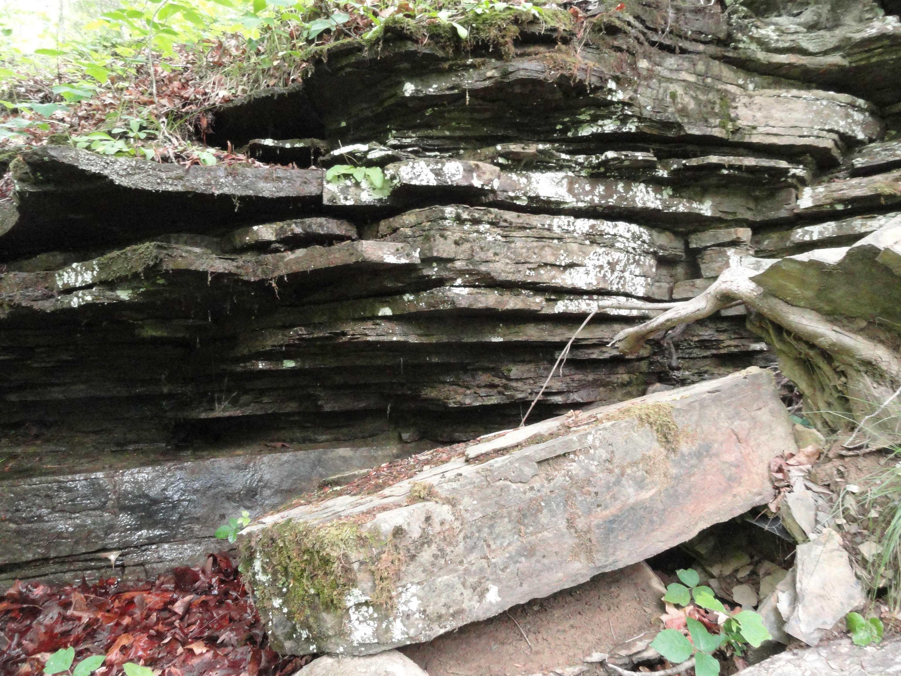 0000 Holly Mtn.  Clinton, AR