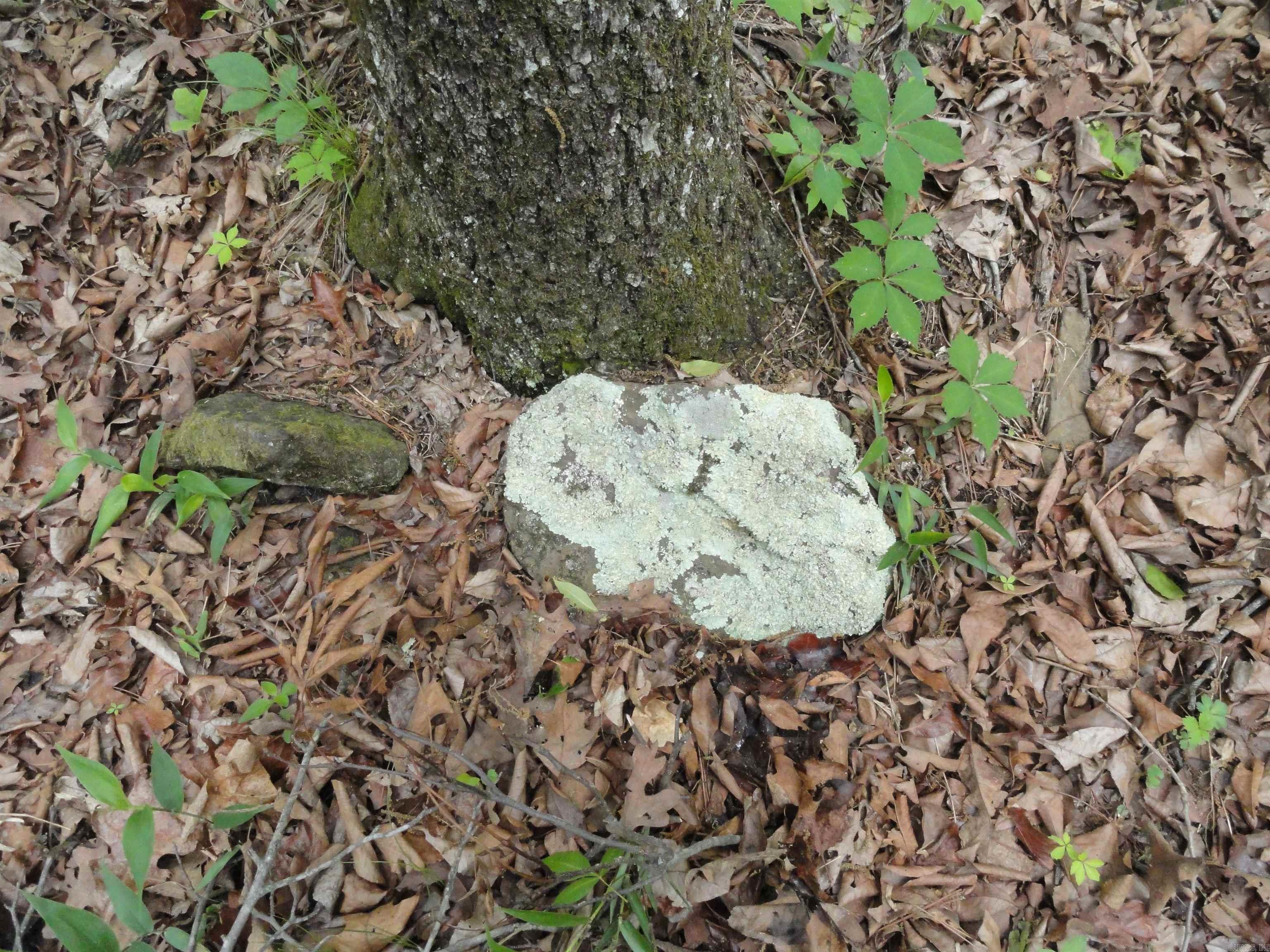 0000 Holly Mtn.  Clinton, AR