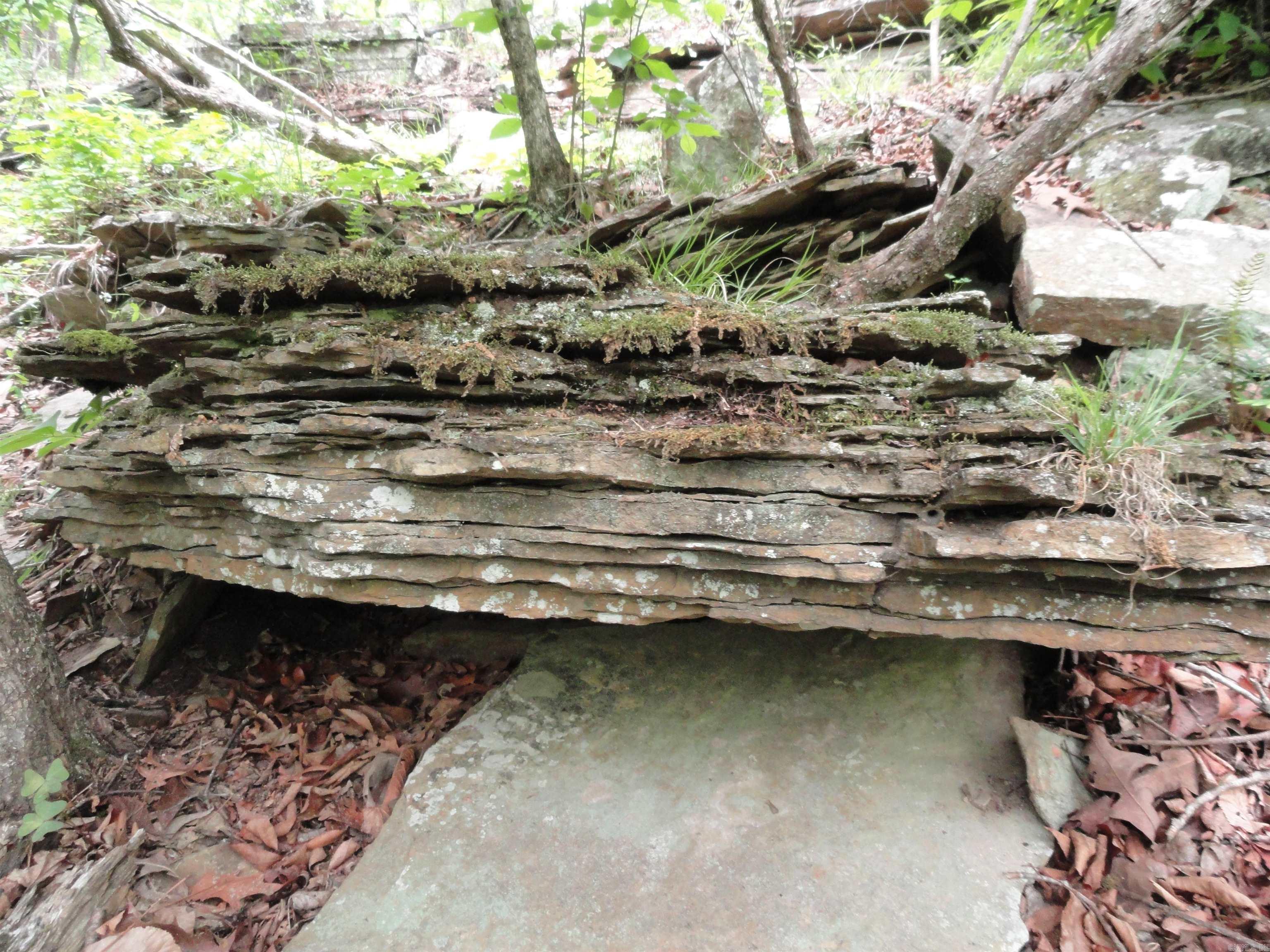 0000 Holly Mtn.  Clinton, AR