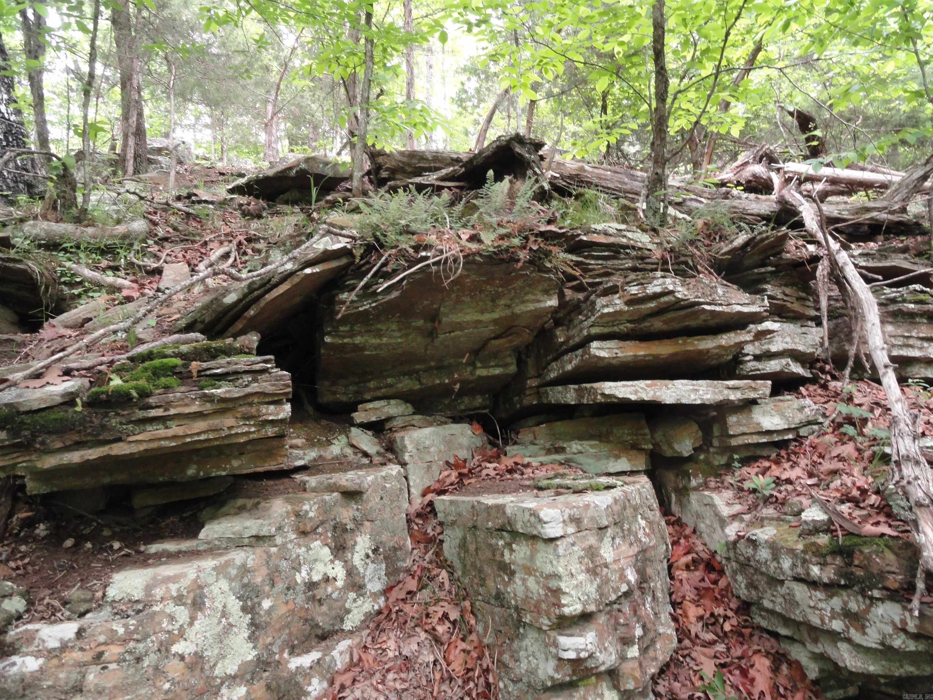 0000 Holly Mtn.  Clinton, AR