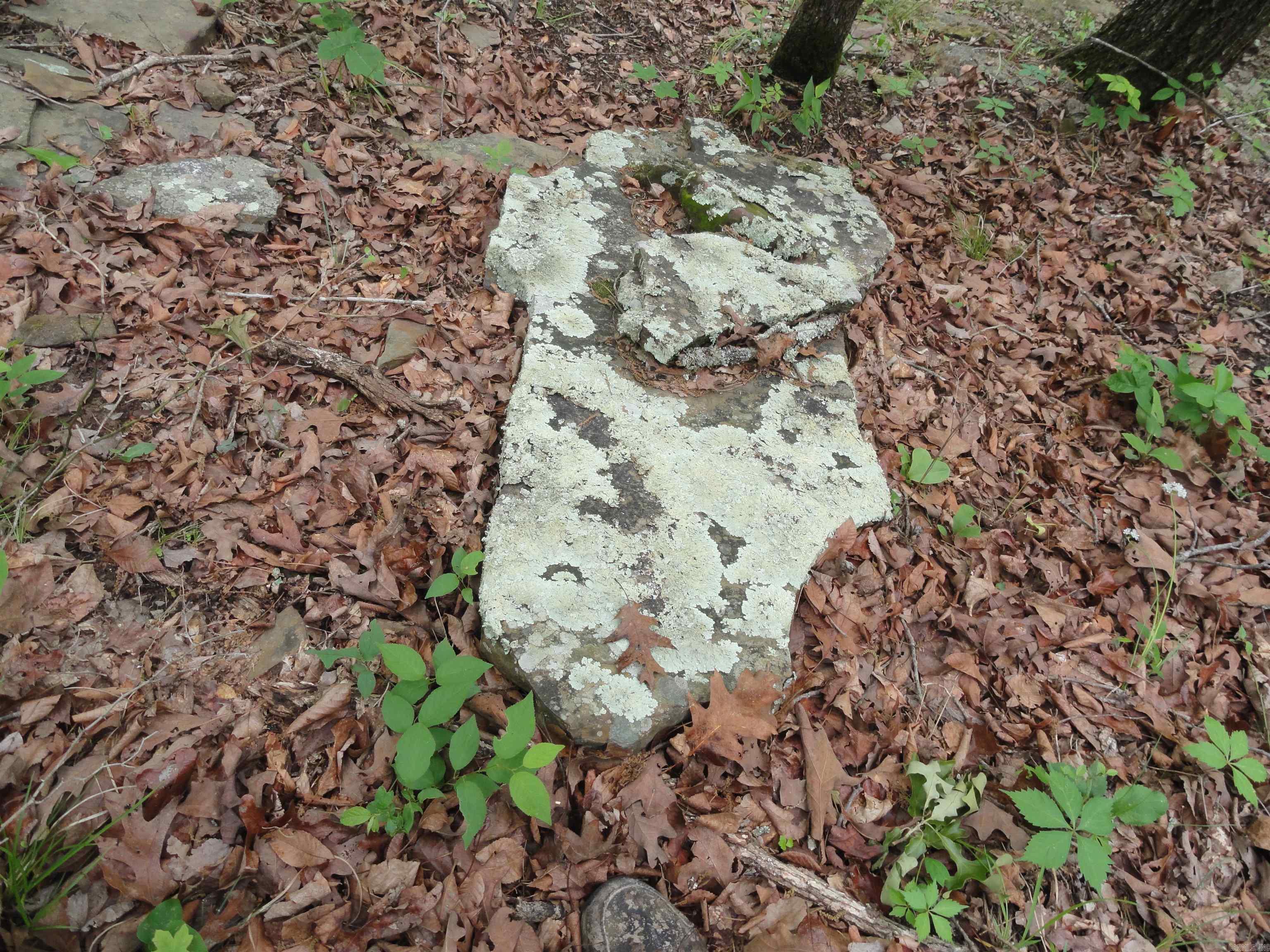 0000 Holly Mtn.  Clinton, AR