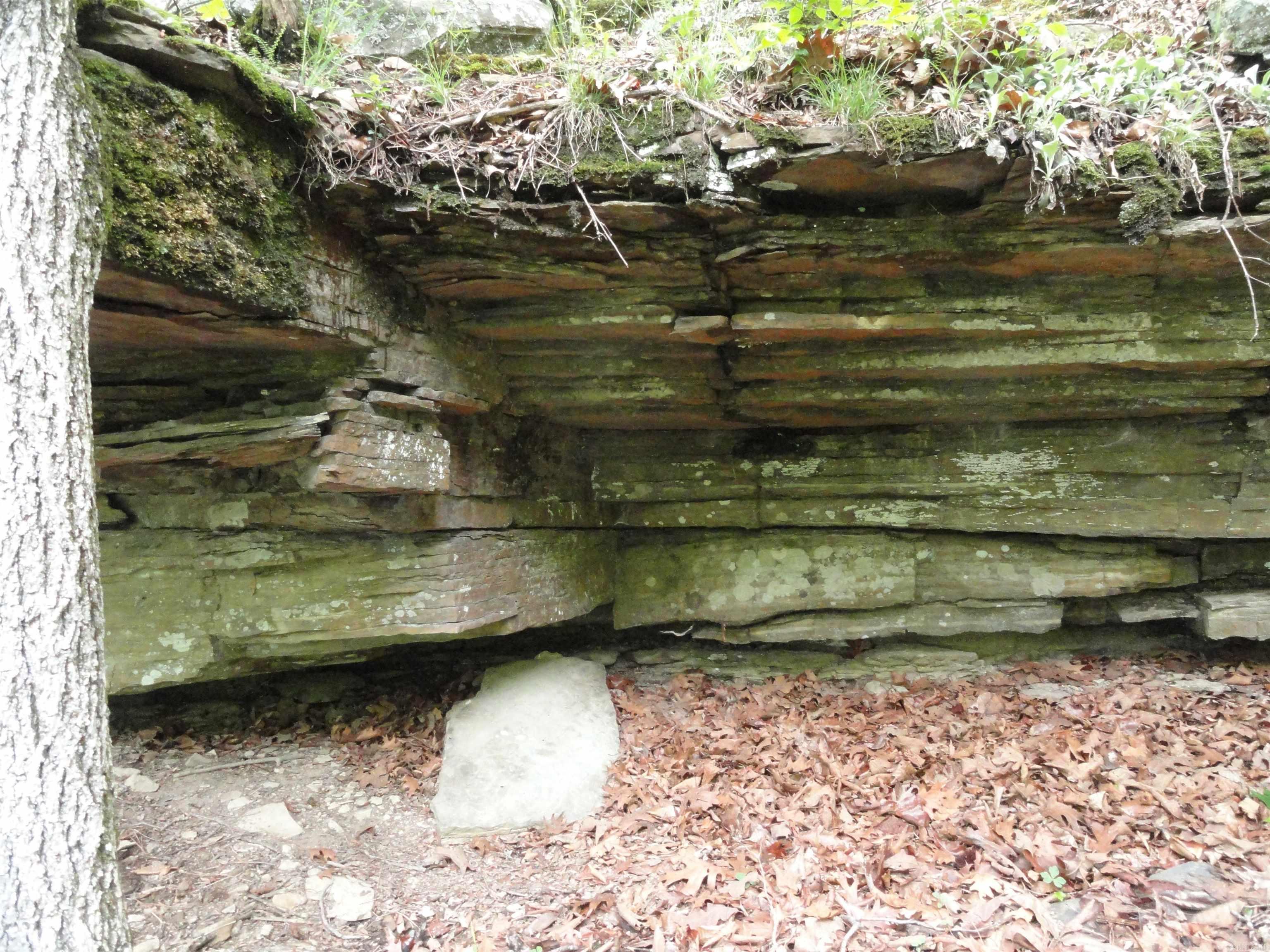 0000 Holly Mtn.  Clinton, AR