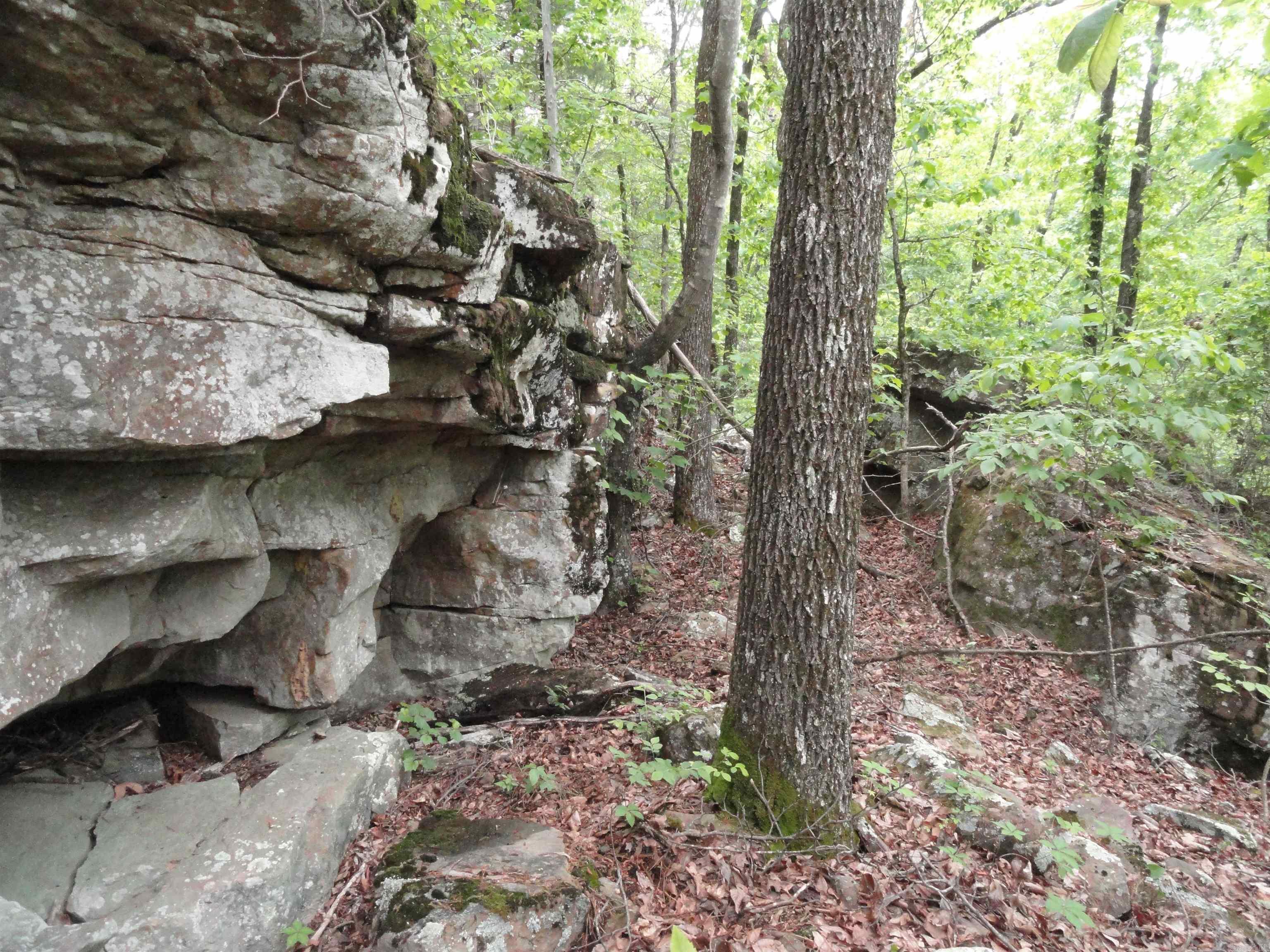 0000 Holly Mtn.  Clinton, AR