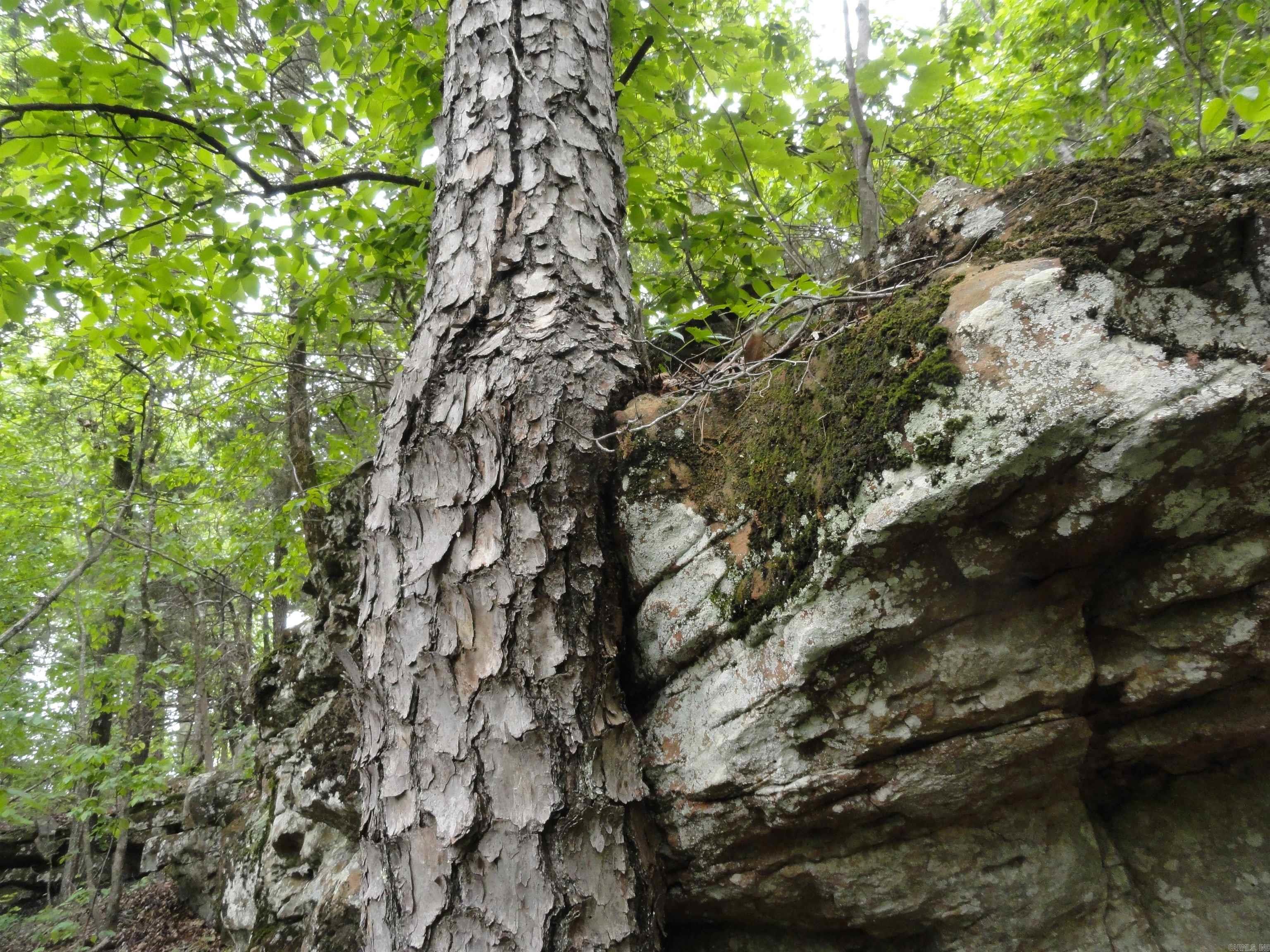 0000 Holly Mtn.  Clinton, AR