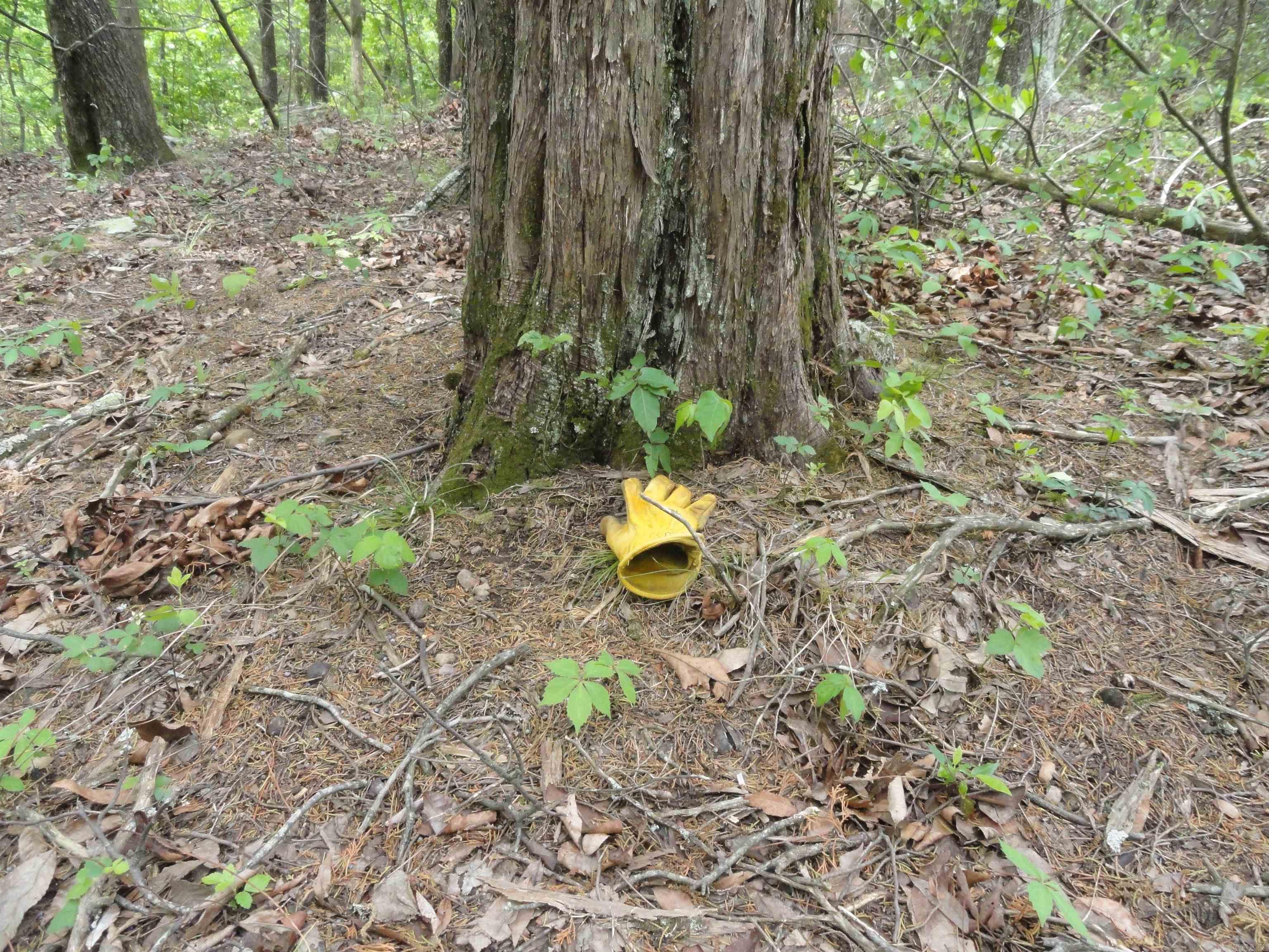 0000 Holly Mtn.  Clinton, AR