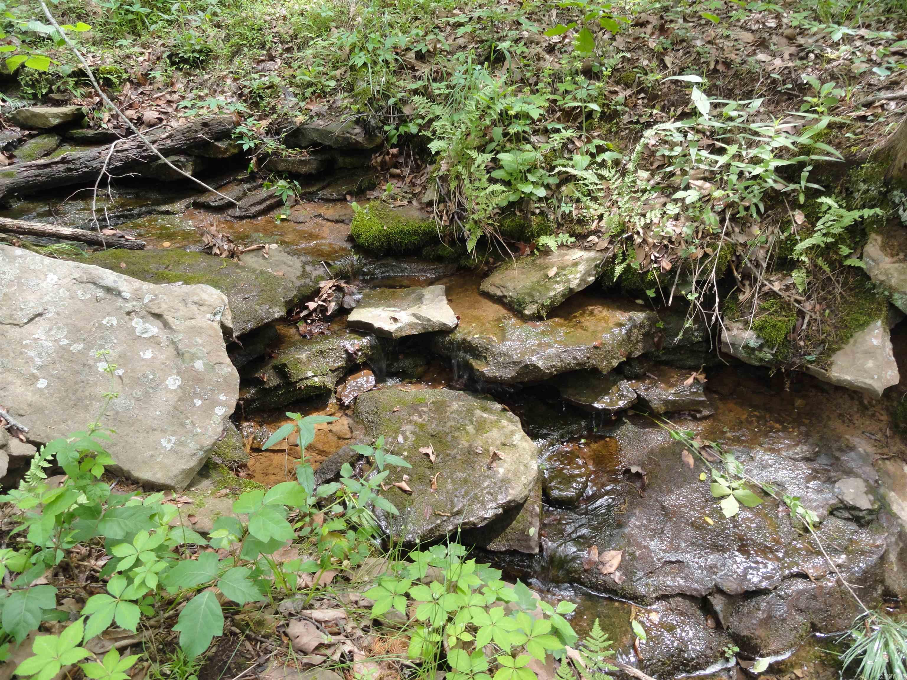 0000 Holly Mtn.  Clinton, AR