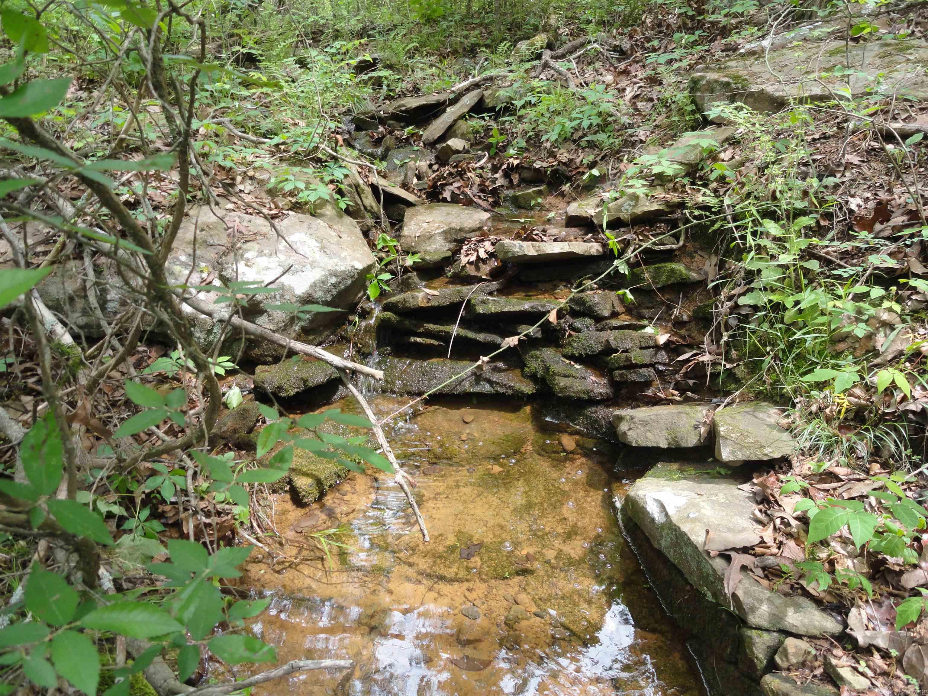 0000 Holly Mtn.  Clinton, AR