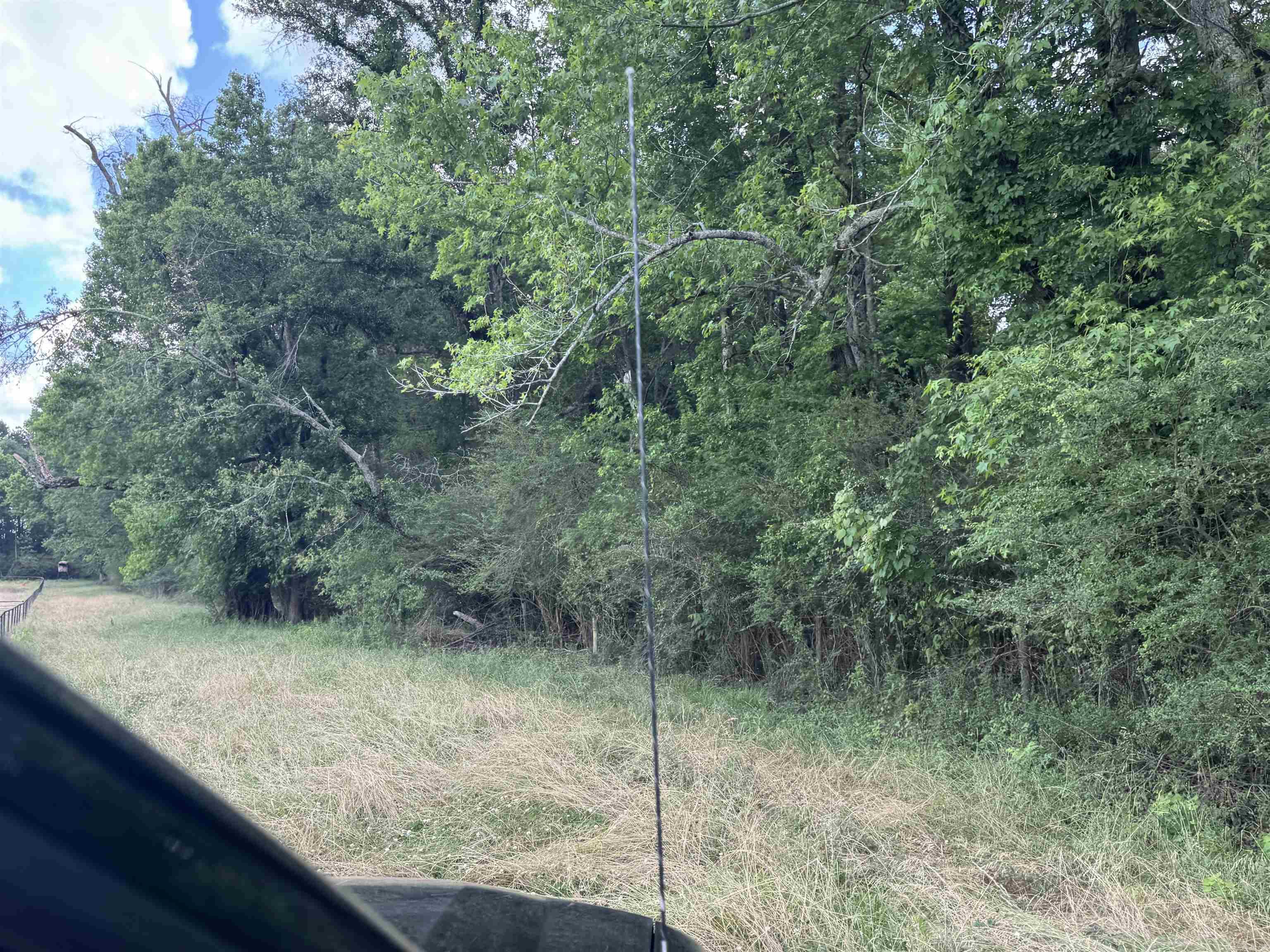 206 E Massey  Waldo, AR