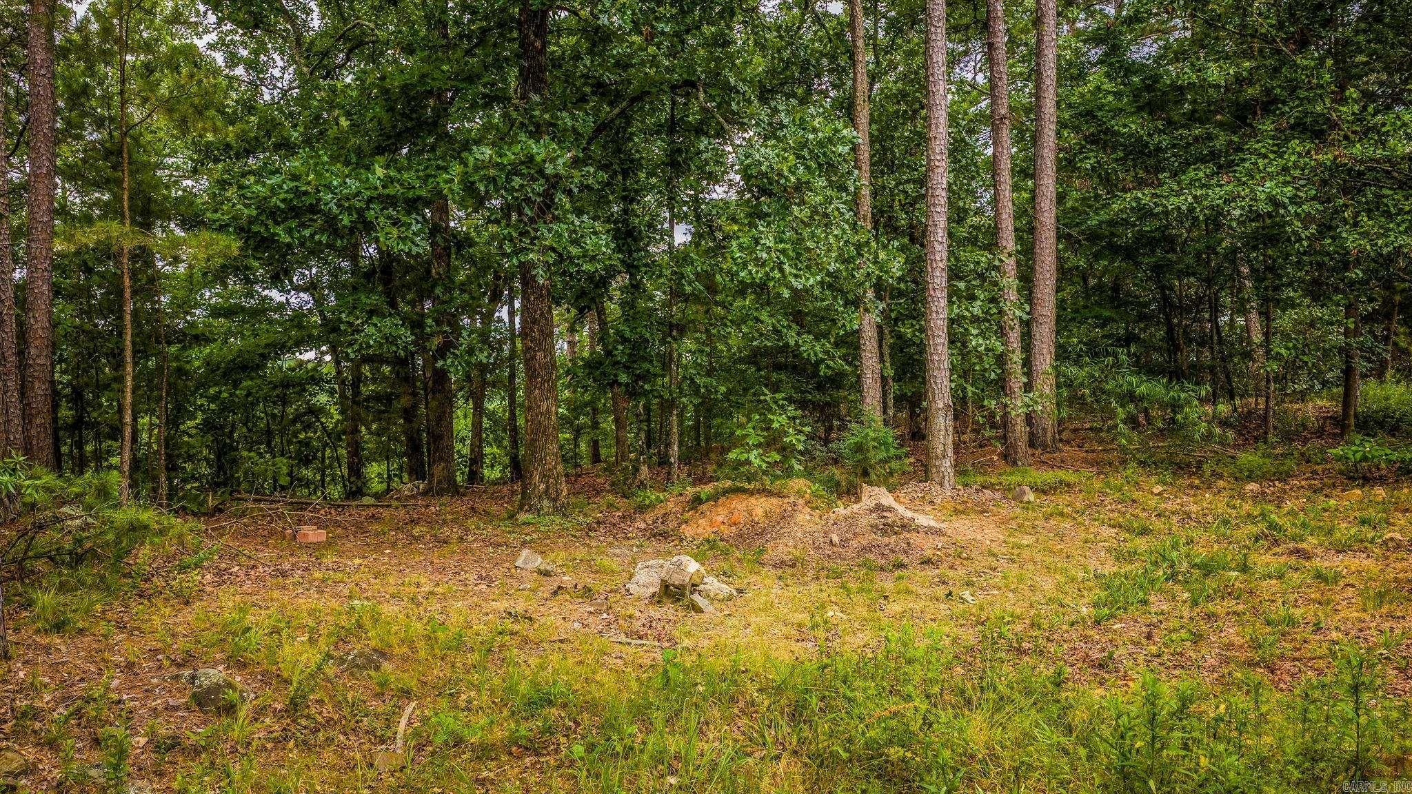 234 Summit Valley  Maumelle, AR