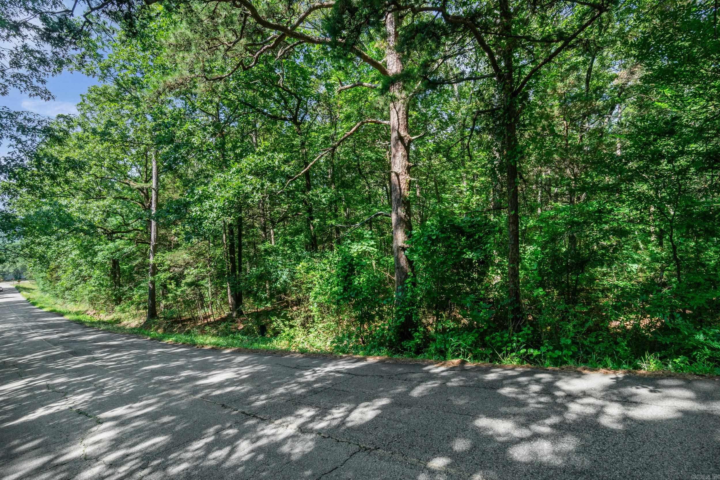 100 SunnyMeadow/Broadway  Heber Springs, AR