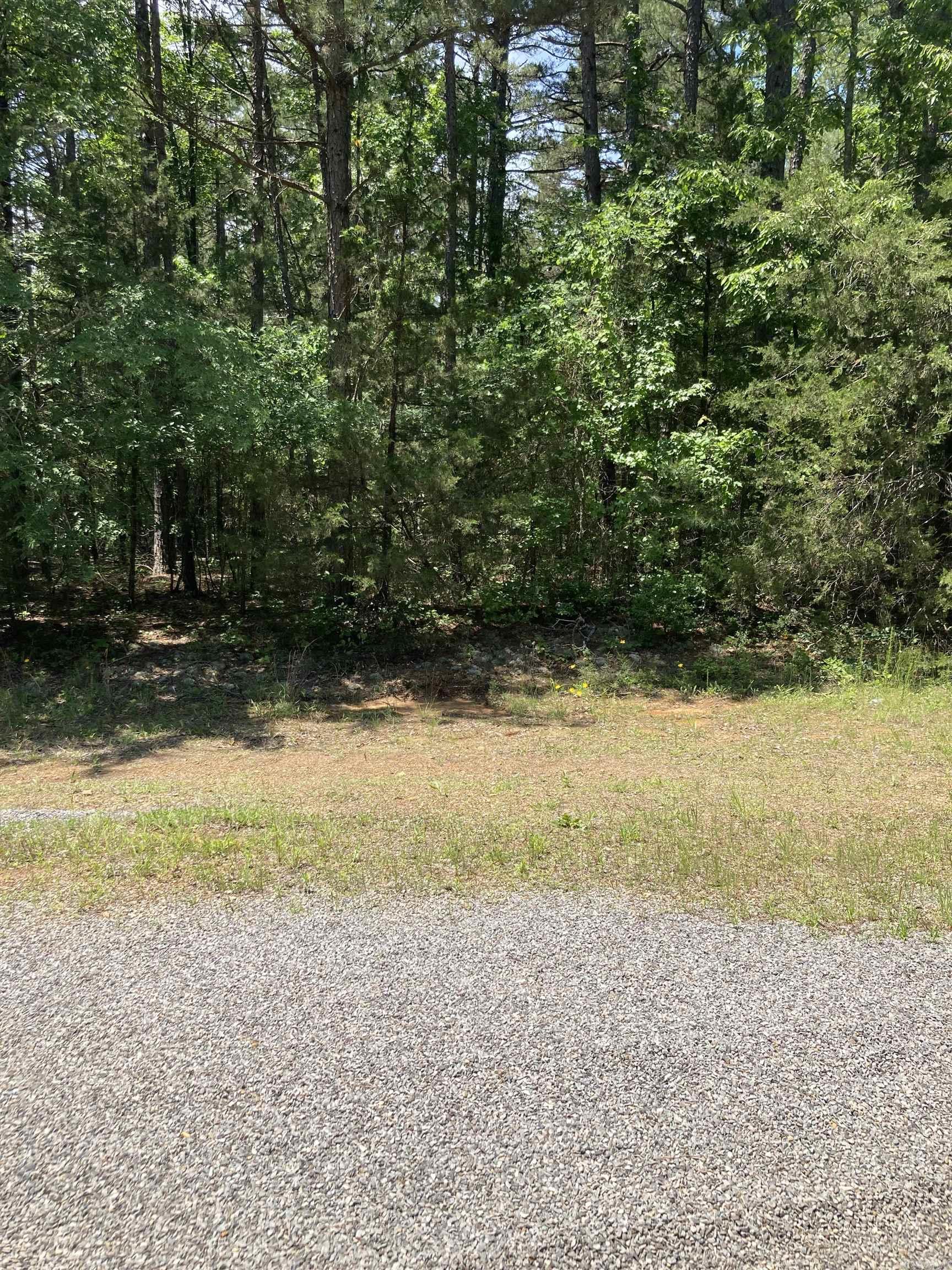 Lot172&173Bk173 Hurst Rd at Ashburn Rd  Fairfield Bay, AR