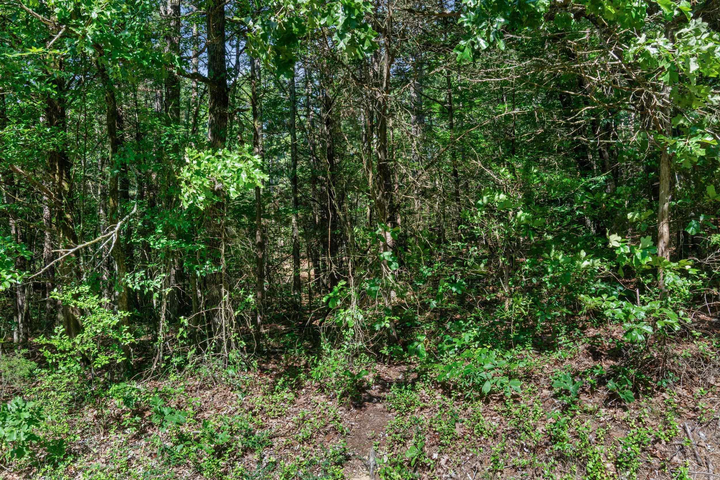 Block 10 SunnyMeadow/Broadway  Heber Springs, AR