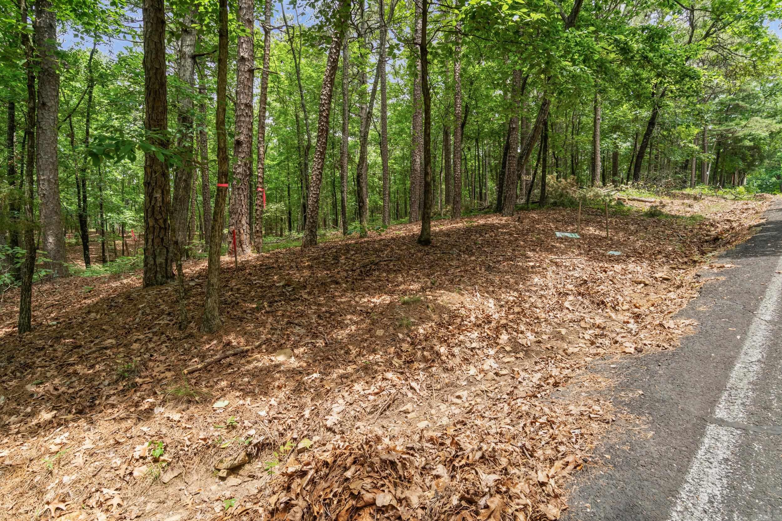 Lots 214/215 Sky King Road  Fairfield Bay, AR
