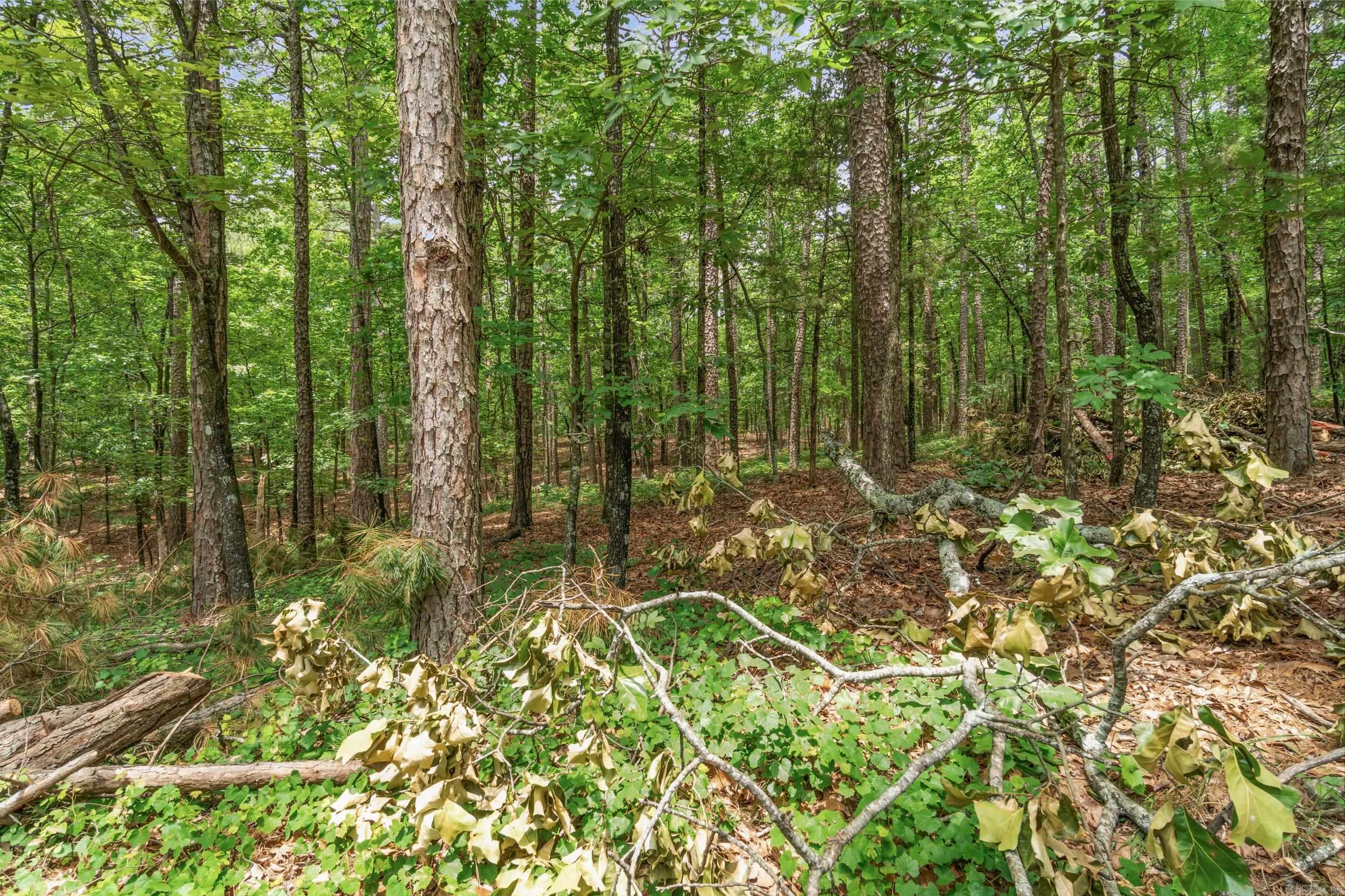 Lots 214/215 Sky King Road  Fairfield Bay, AR