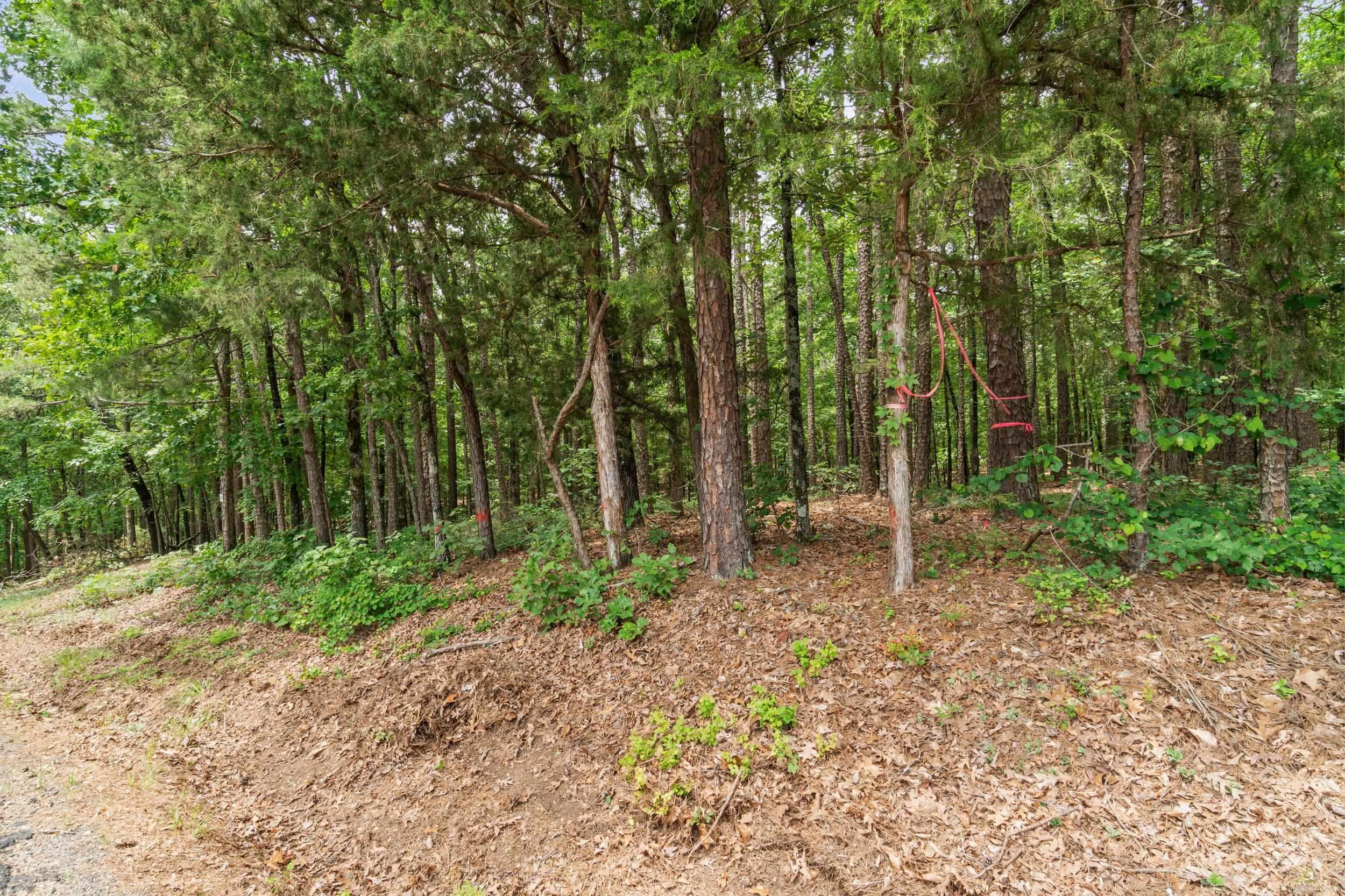 Lots 214/215 Sky King Road  Fairfield Bay, AR