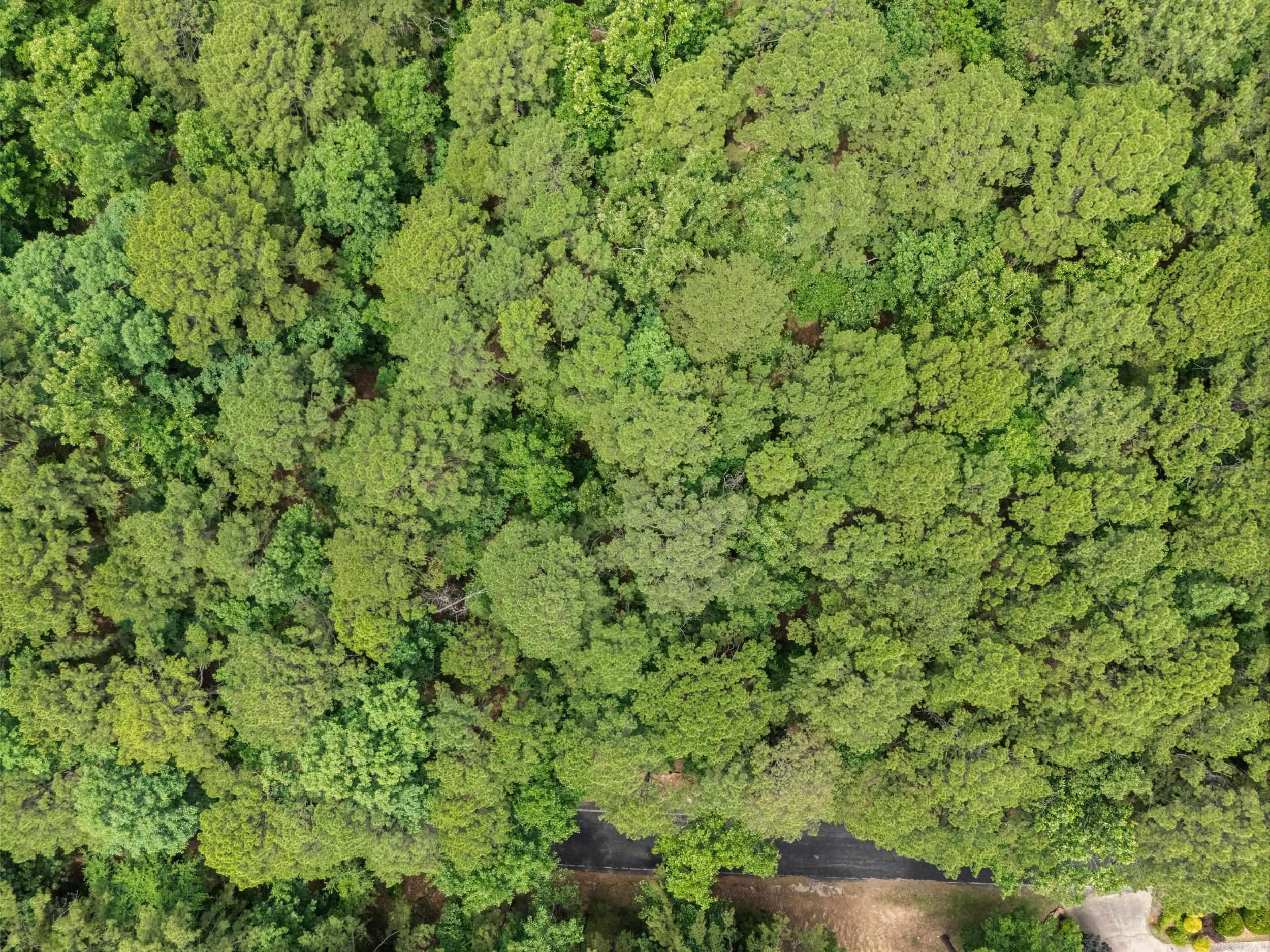Lots 214/215 Sky King Road  Fairfield Bay, AR