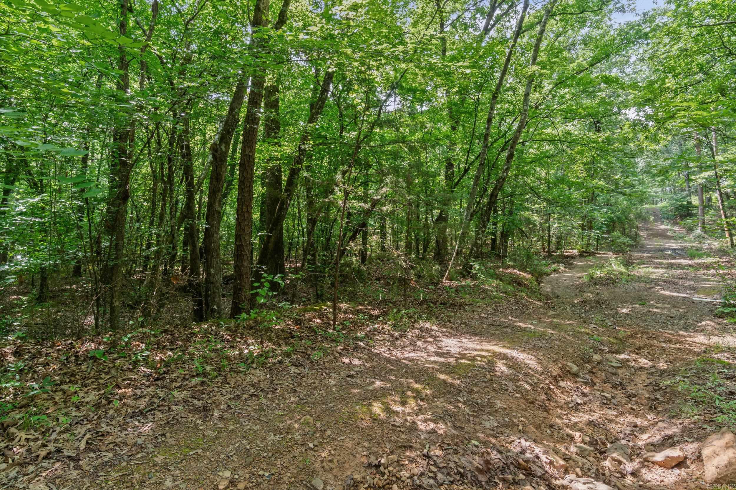 Lots 49-54 Robinhood Trail  Fairfield Bay, AR
