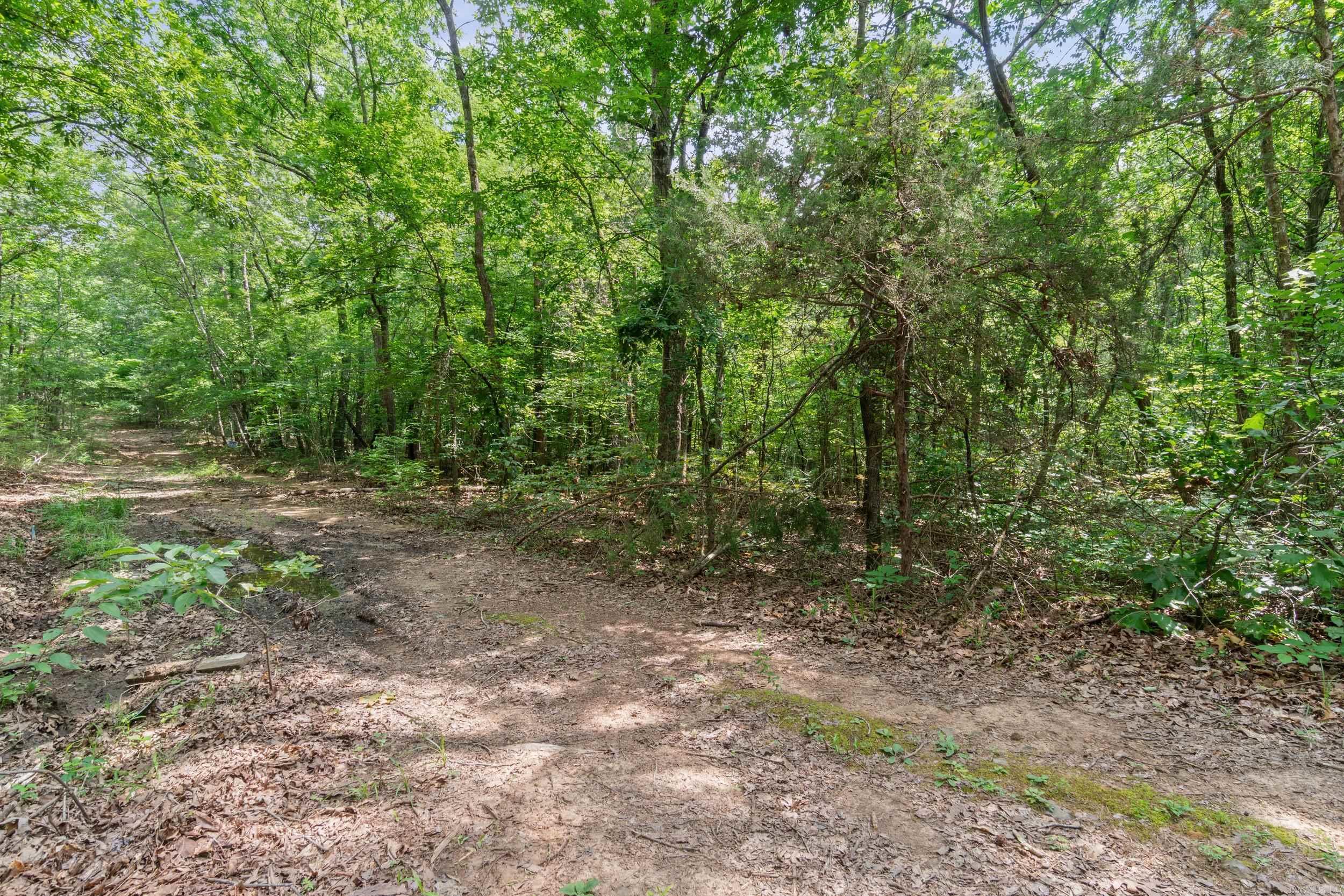 Lots 78-79 Robinhood Trail  Fairfield Bay, AR