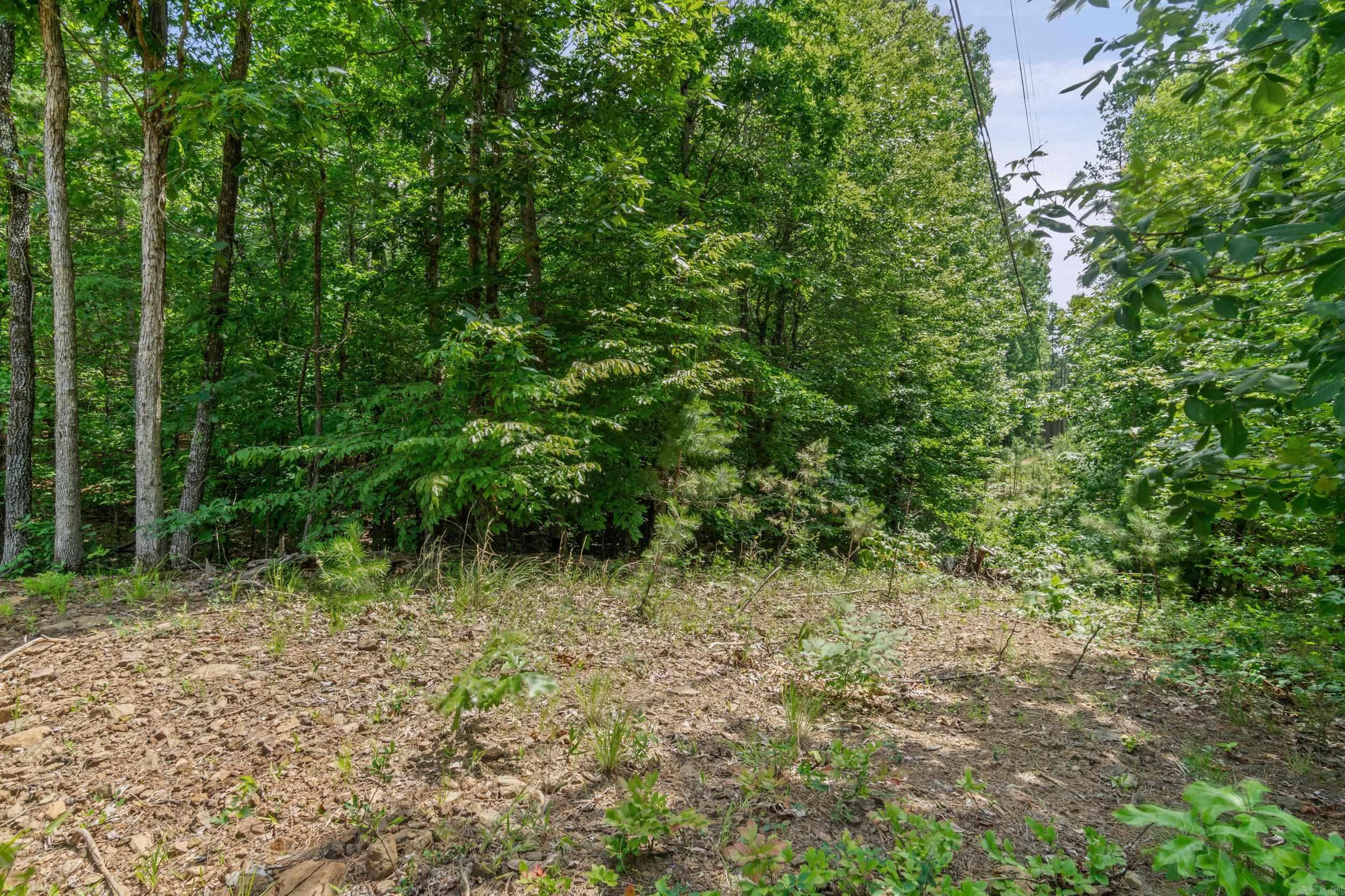 Lot 75R Robinhood Trail  Fairfield Bay, AR