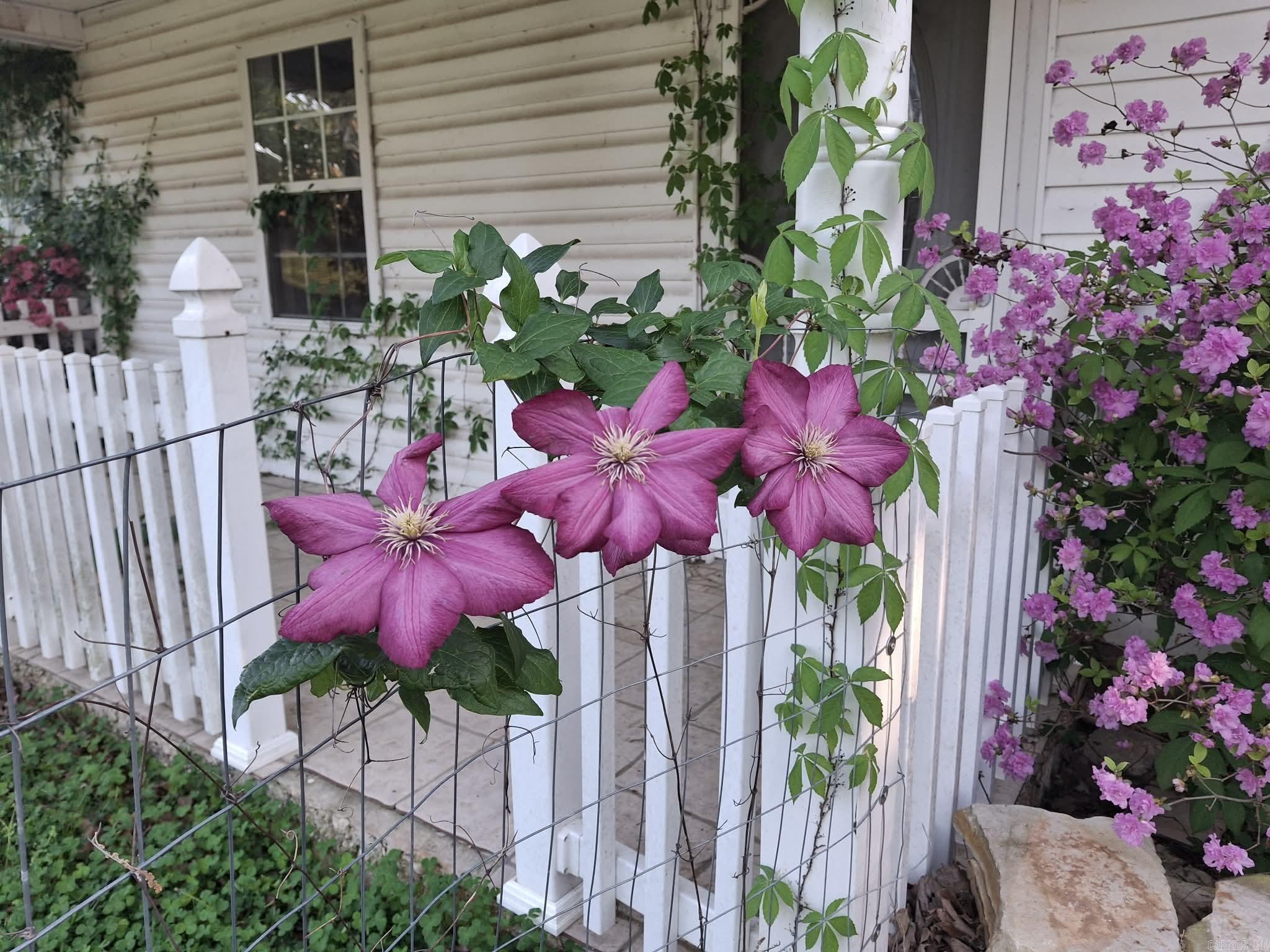 1212 Gayler  Mountain View, AR