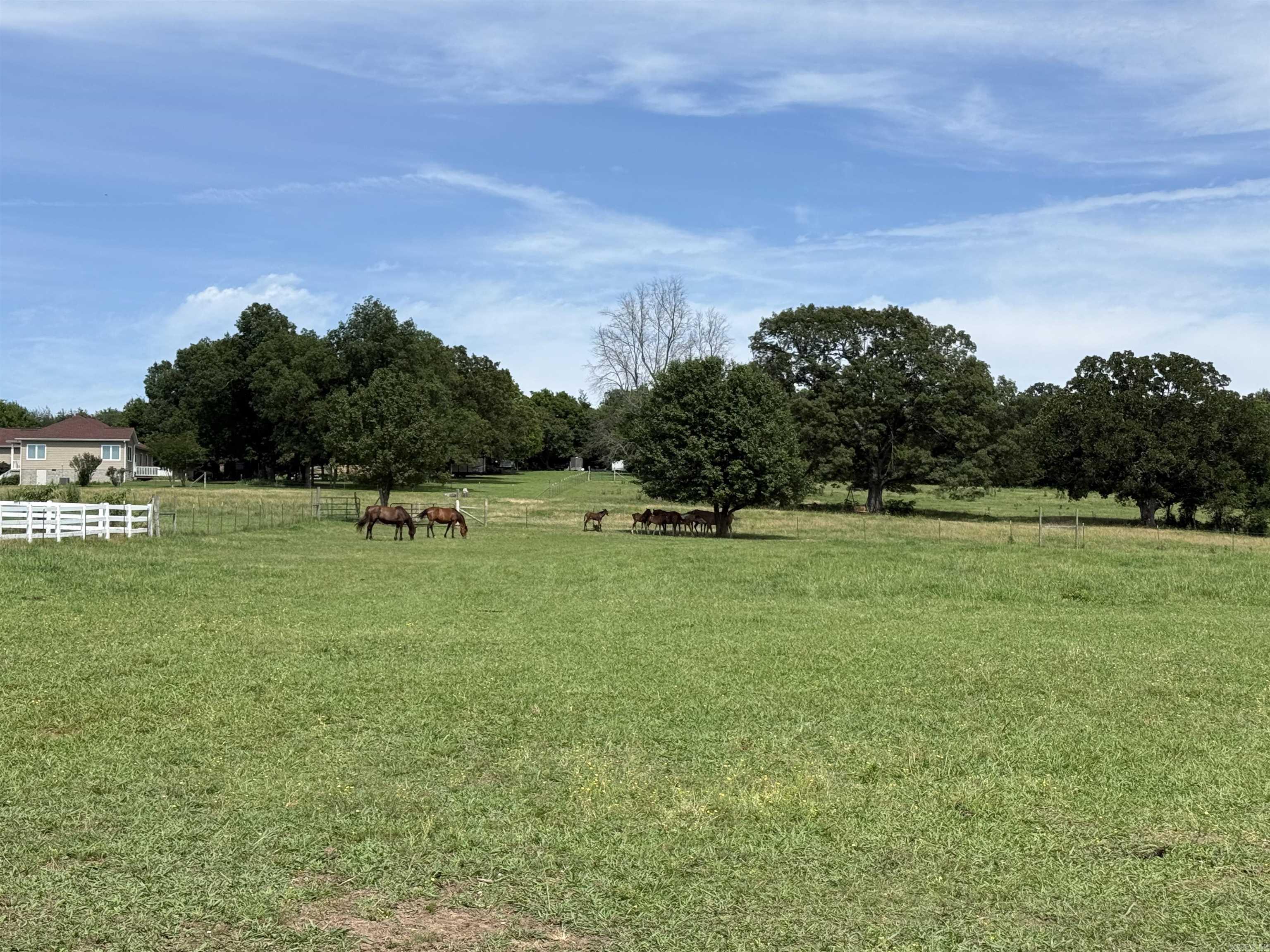 1212 Gayler  Mountain View, AR