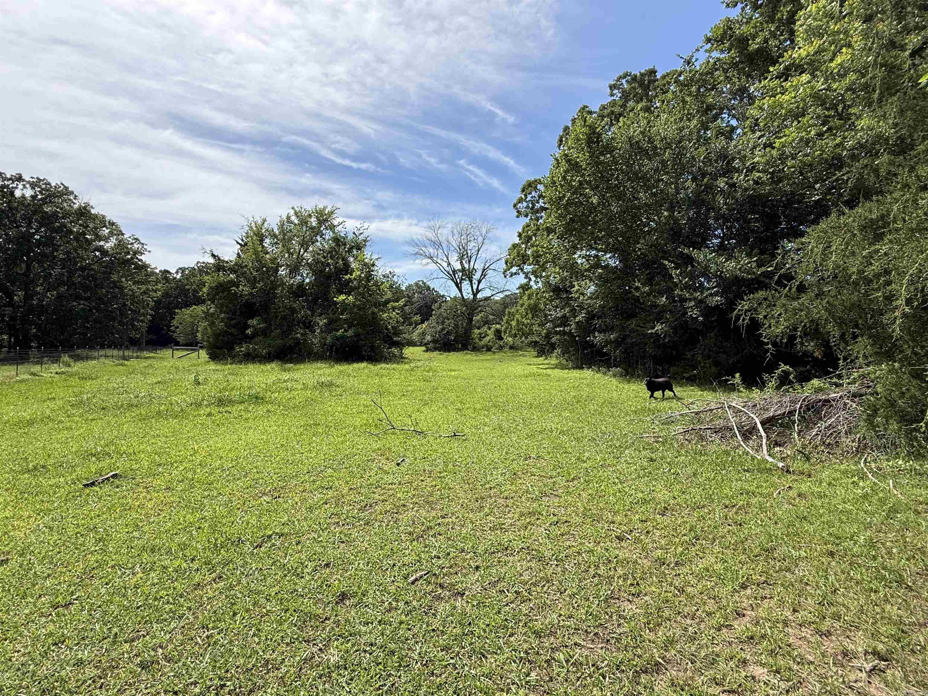 1212 Gayler  Mountain View, AR