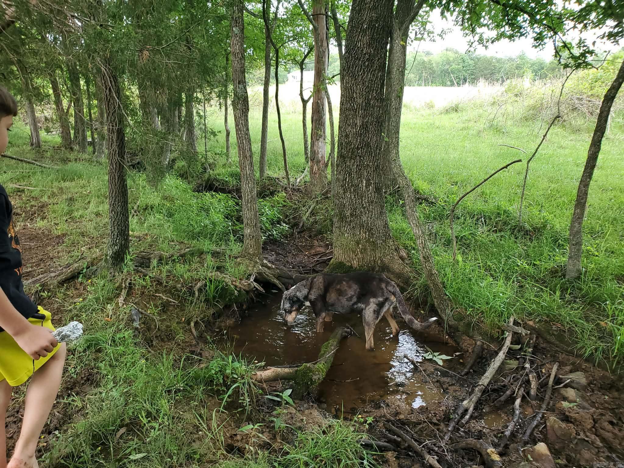 1212 Gayler  Mountain View, AR