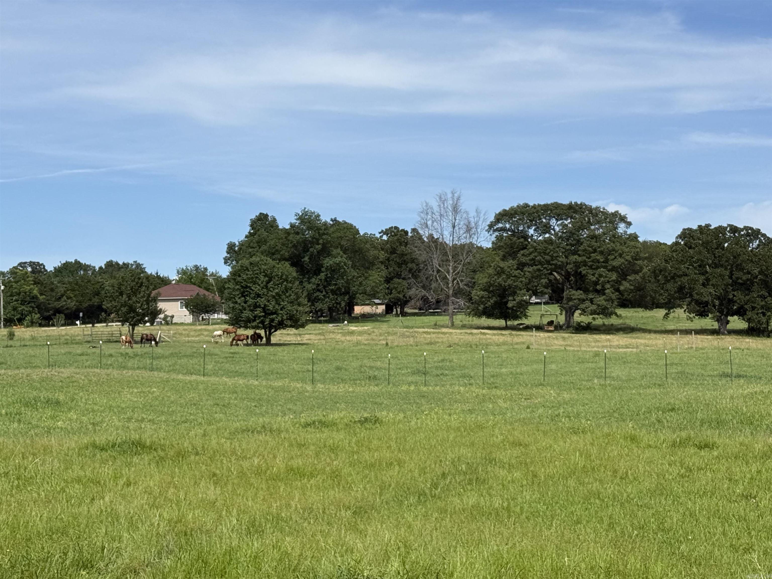 1212 Gayler  Mountain View, AR
