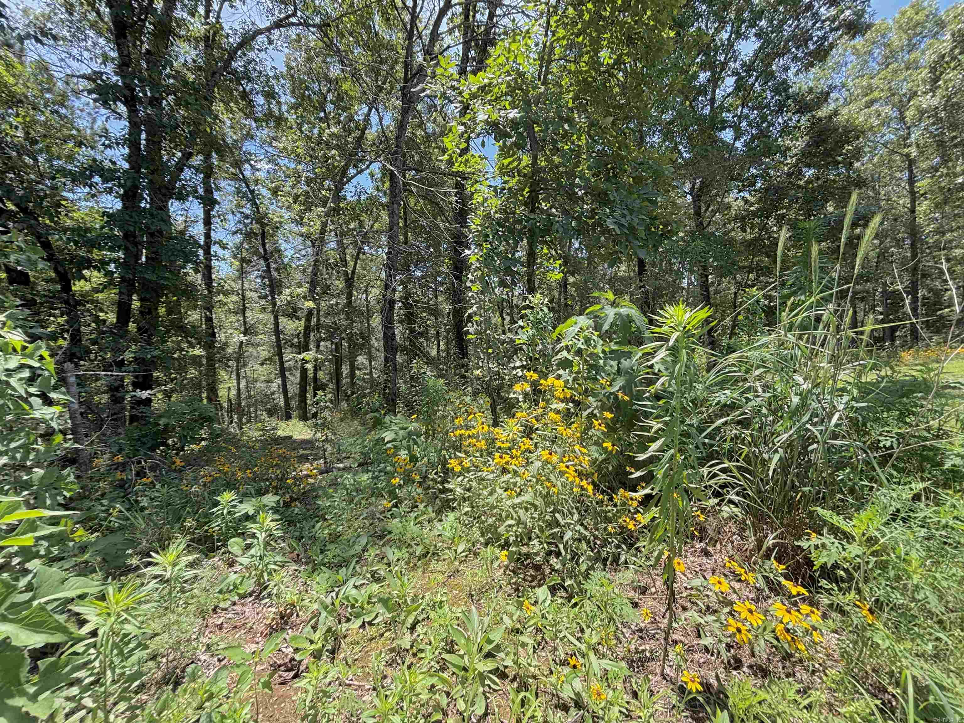 552 HWY 225 E  Greenbrier, AR