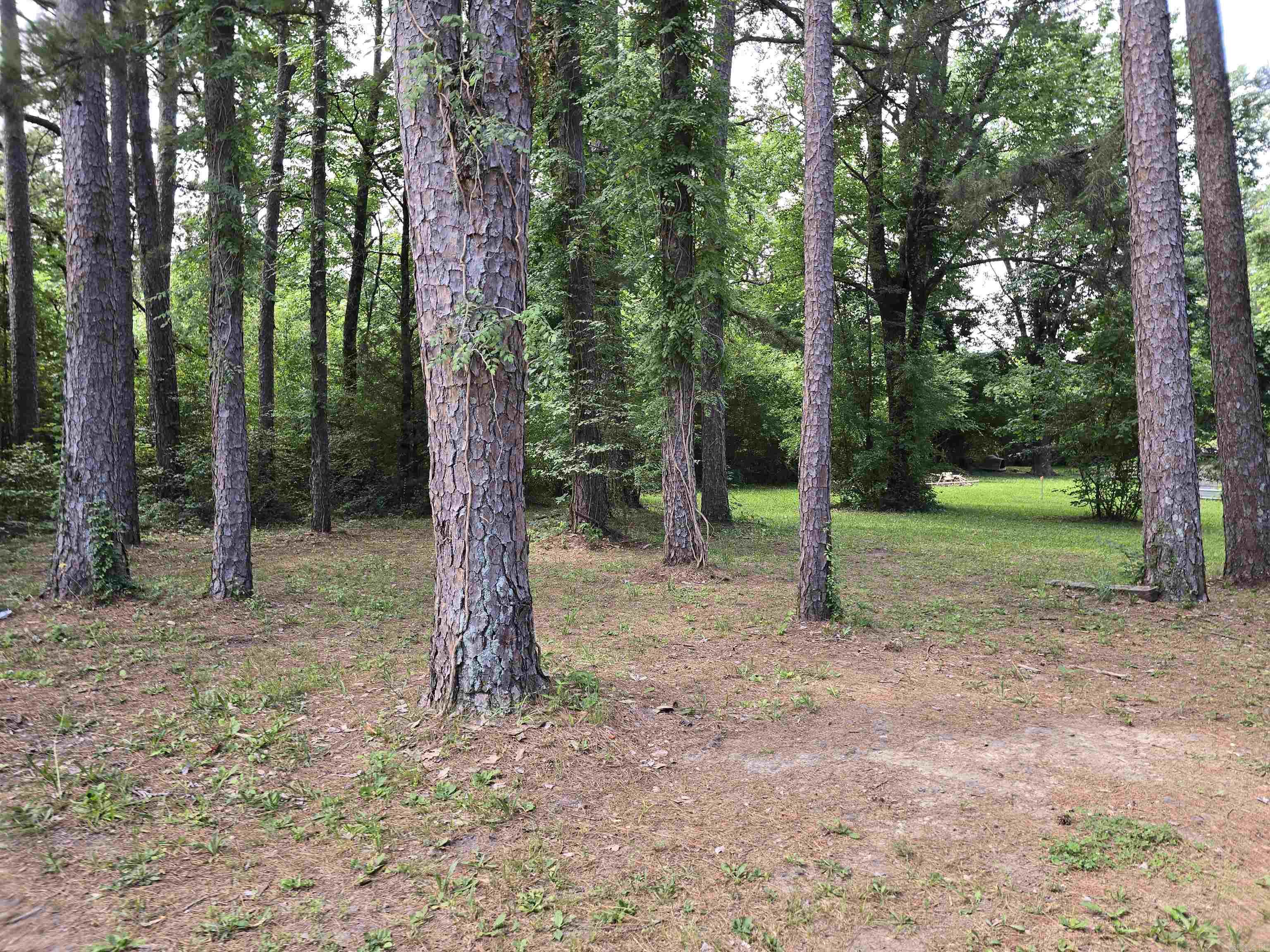 174 AR 9 Spur Highway Melbourne, AR 72556