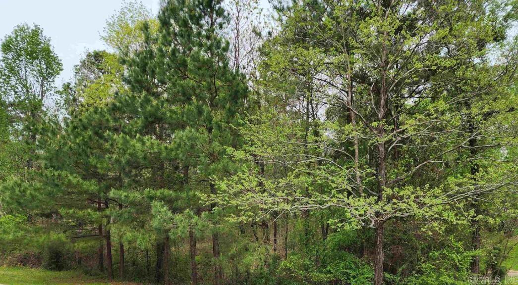 Lot 24 Evergreen St  El Dorado, AR
