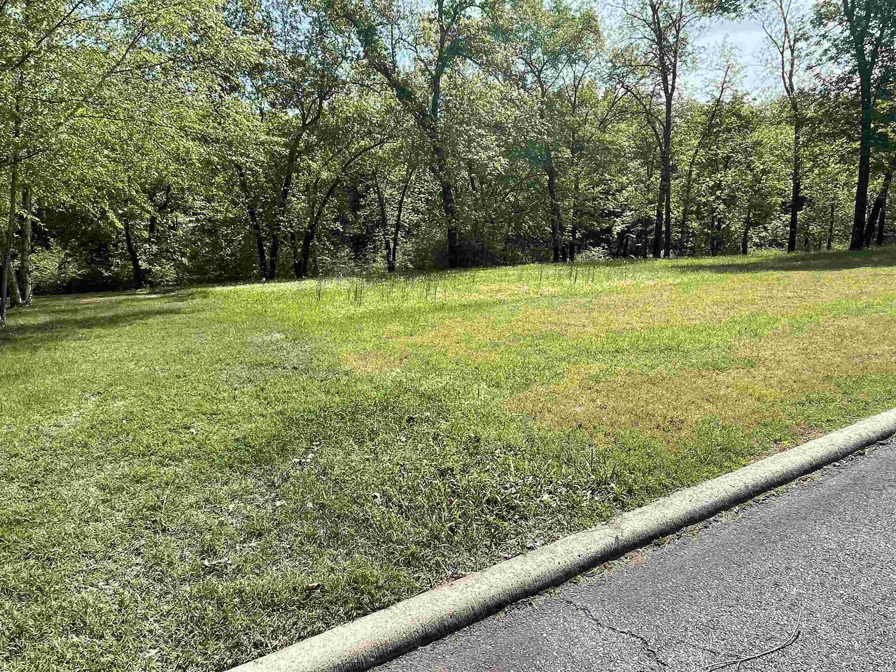 17 Brighton Pointe  Heber Springs, AR