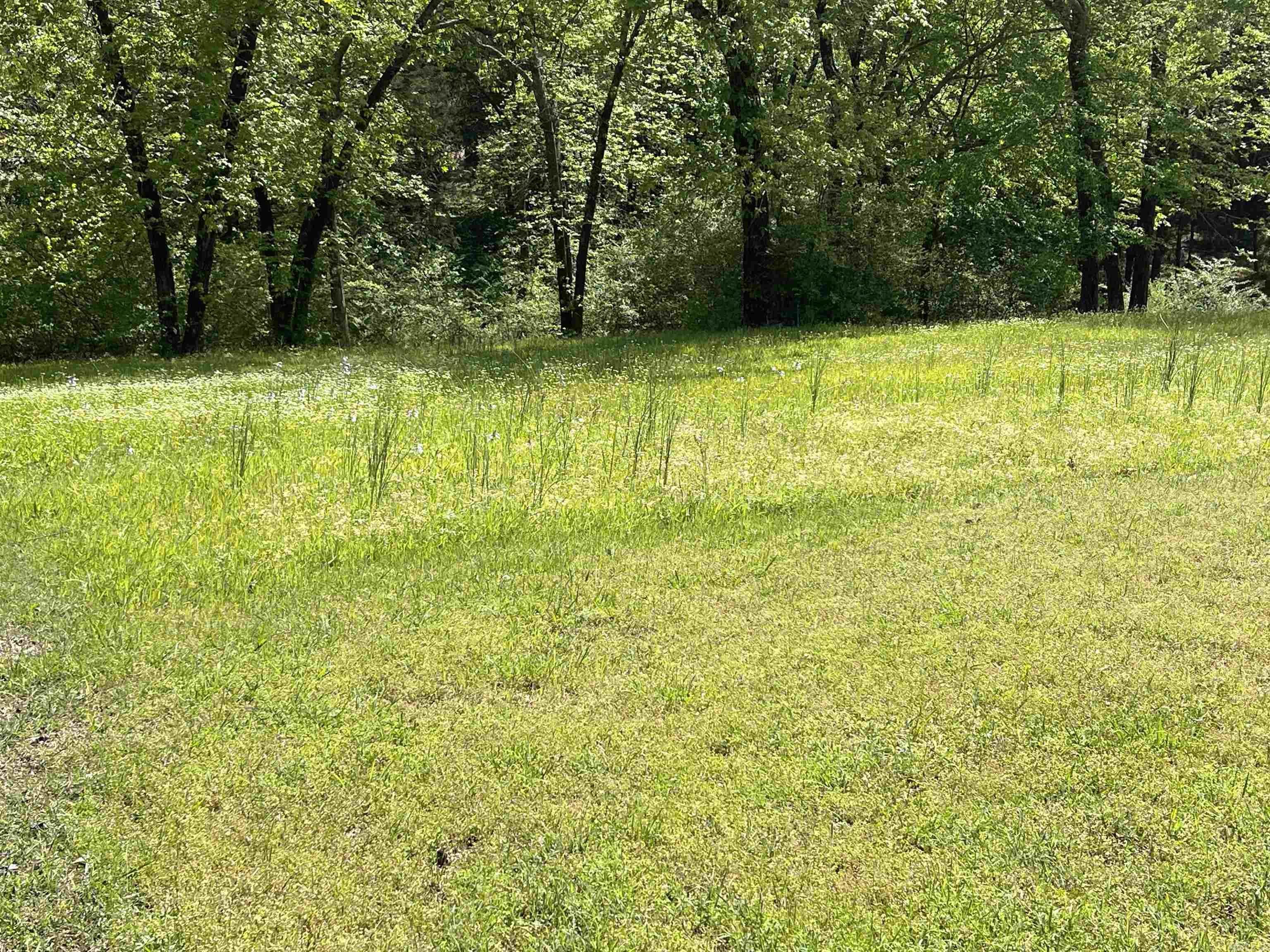 17 Brighton Pointe  Heber Springs, AR