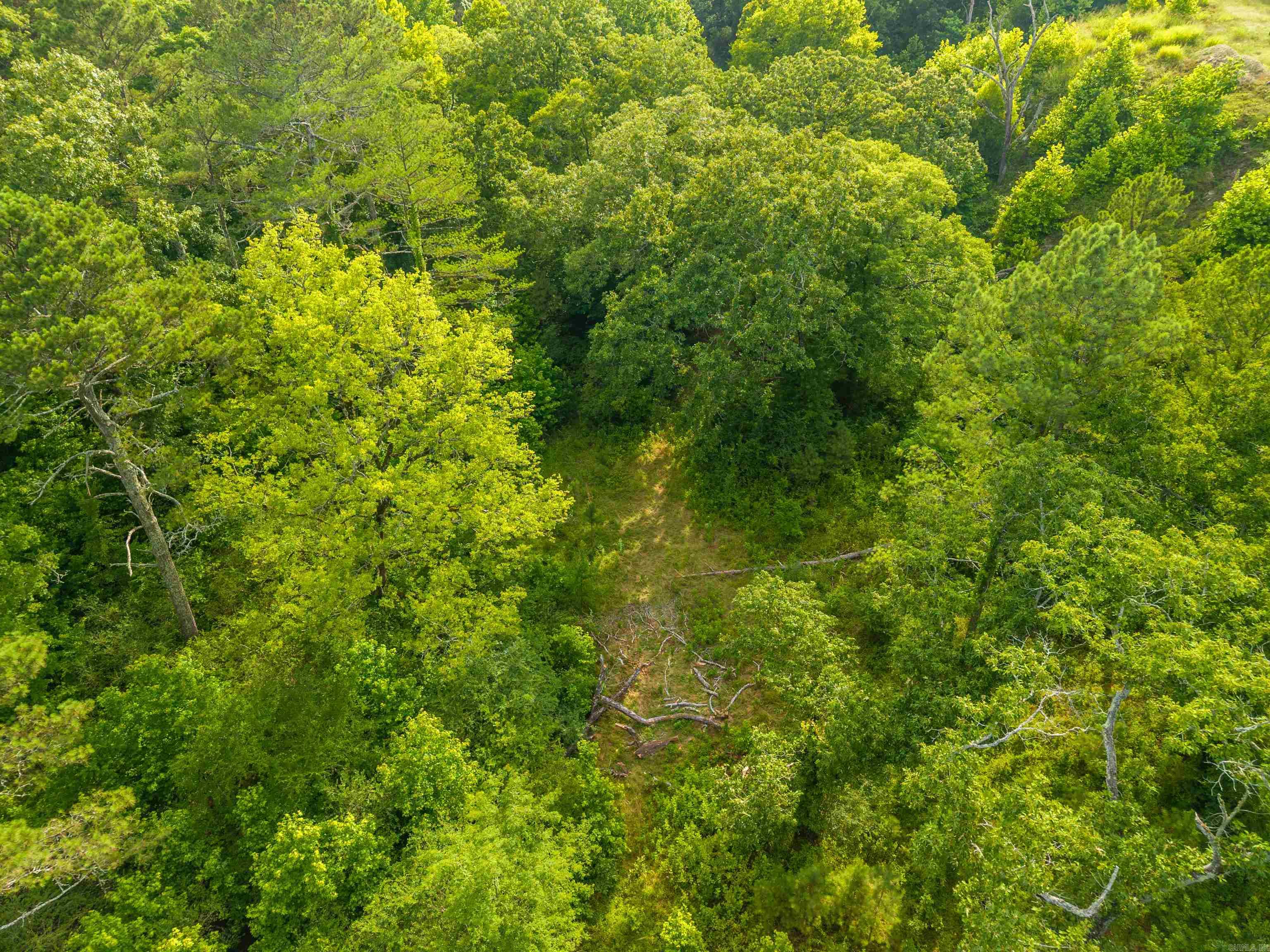 000 Kinsey Mountain  Bonnerdale, AR