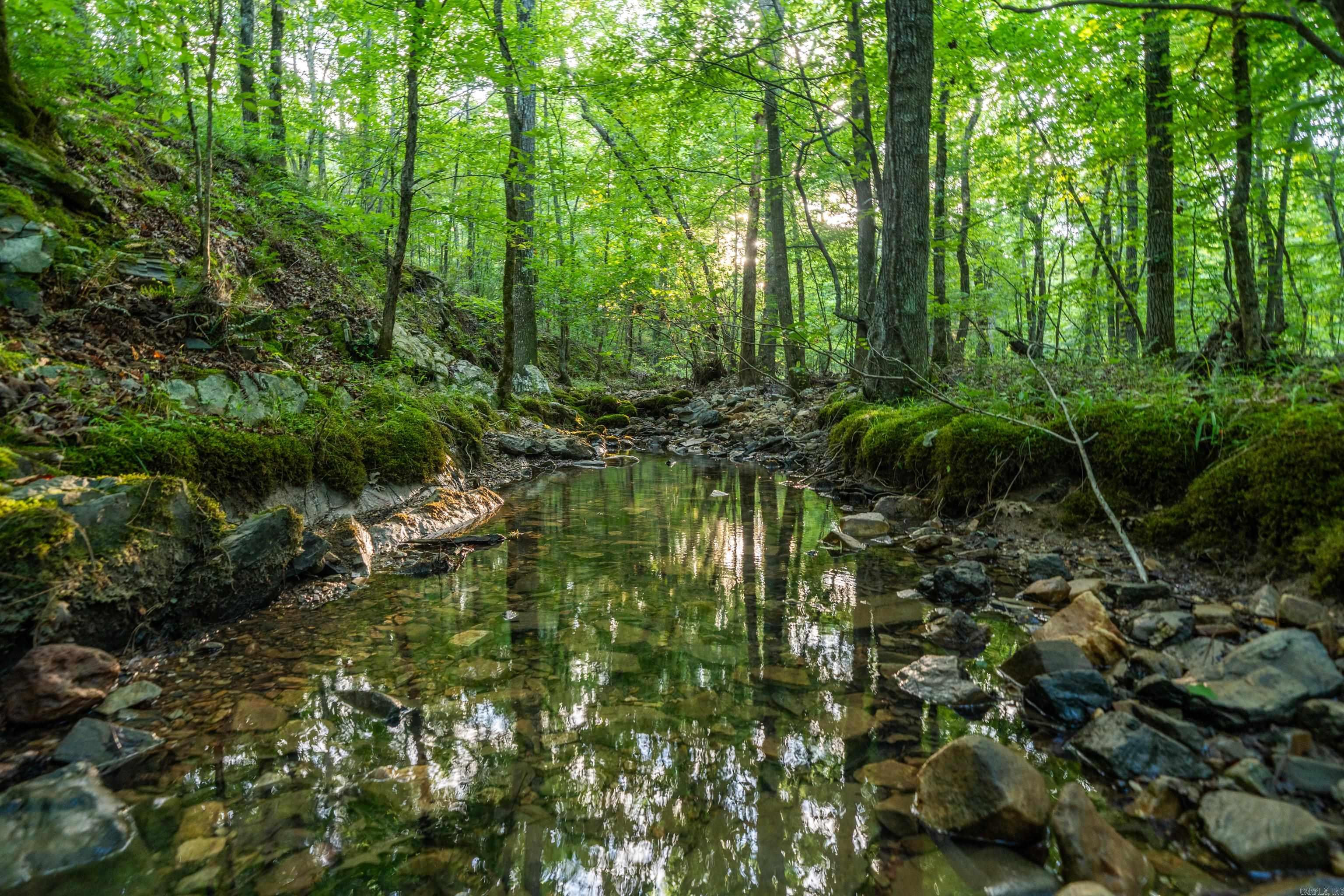 000 Kinsey Mountain  Bonnerdale, AR