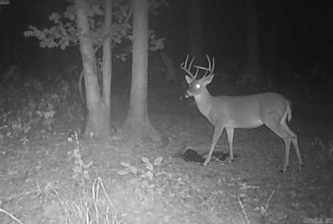 000 Kinsey Mountain  Bonnerdale, AR
