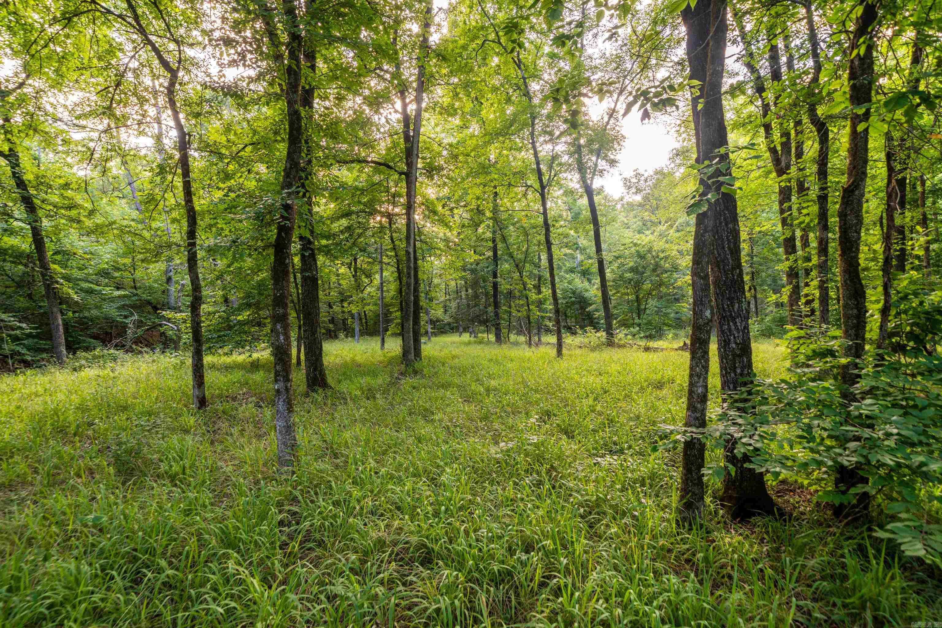 000 Kinsey Mountain  Bonnerdale, AR