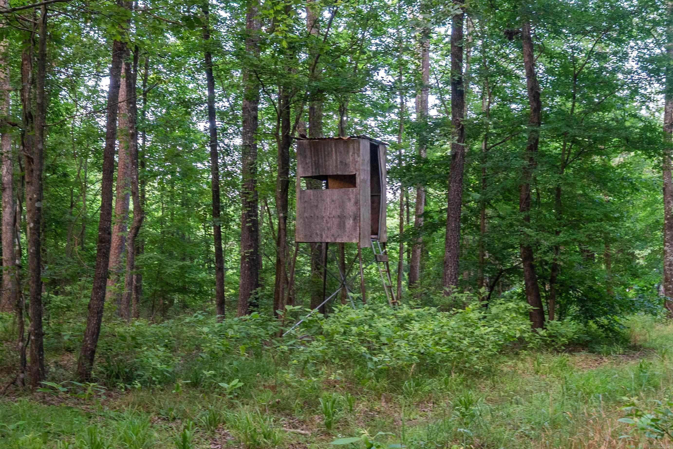 000 Kinsey Mountain  Bonnerdale, AR