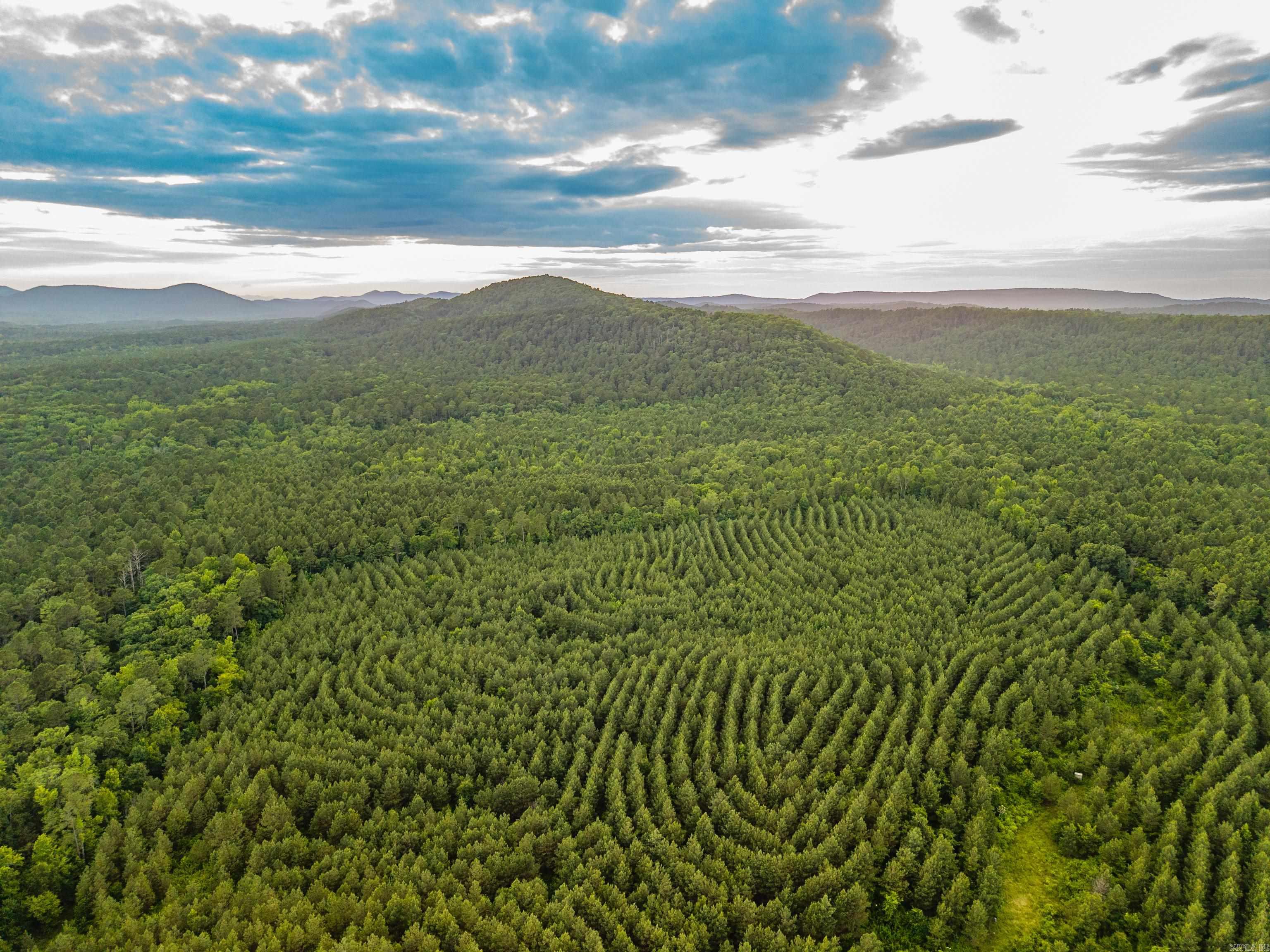 000 Kinsey Mountain  Bonnerdale, AR