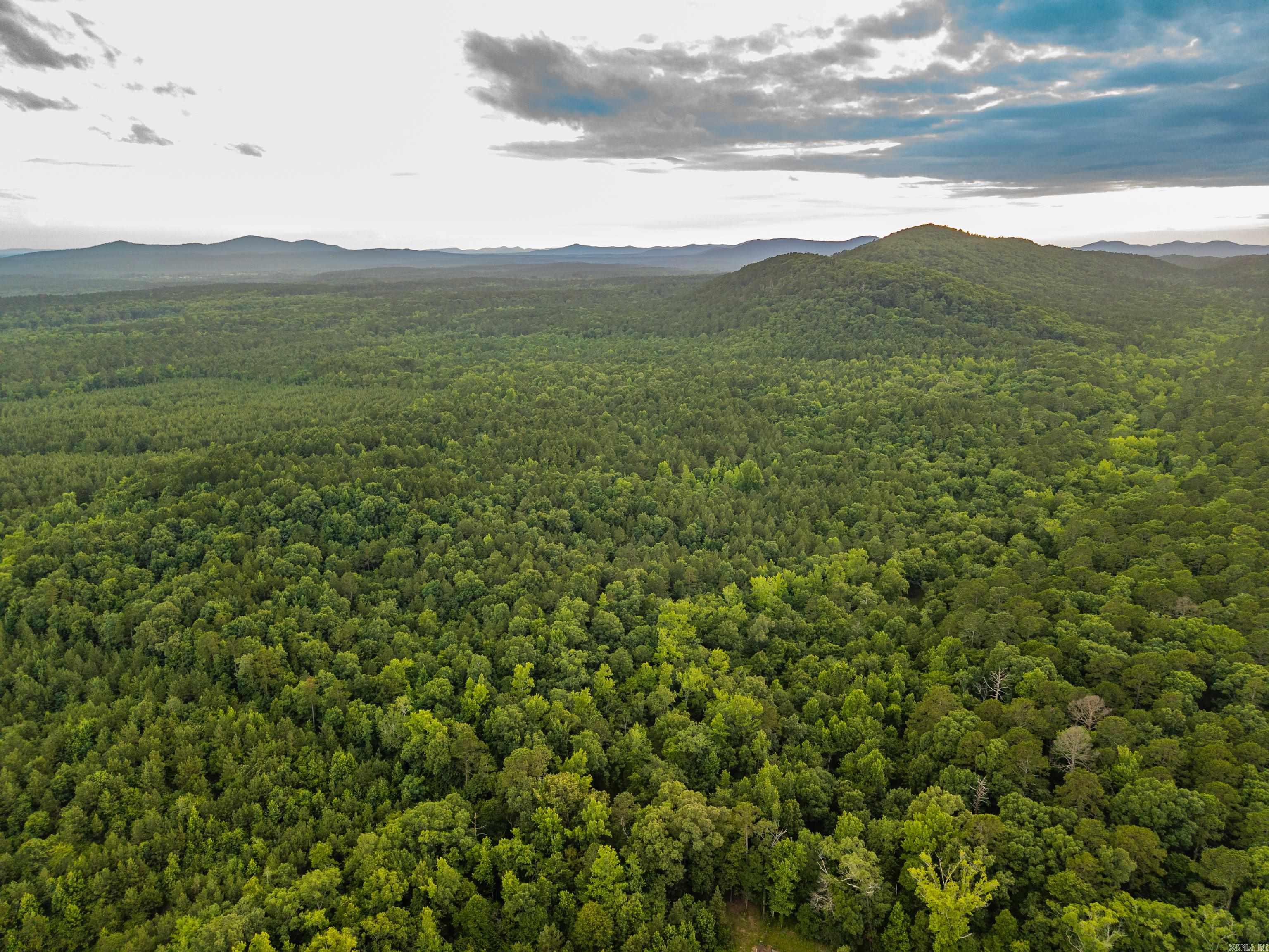 000 Kinsey Mountain  Bonnerdale, AR