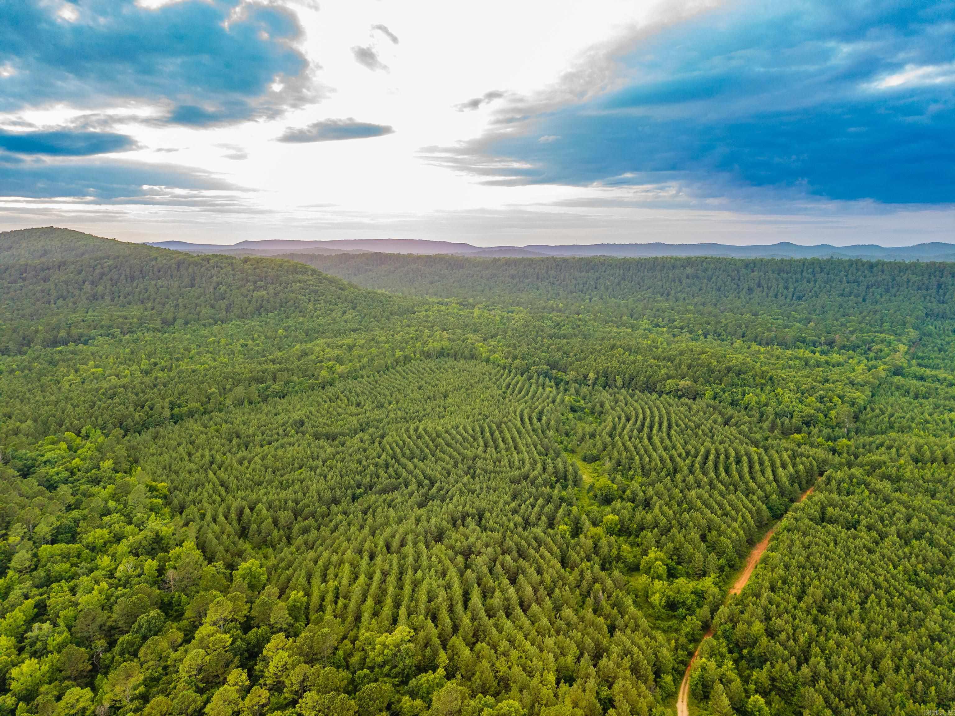 000 Kinsey Mountain  Bonnerdale, AR