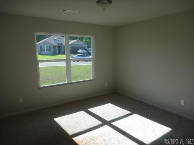 19 Ferguson  Austin, AR