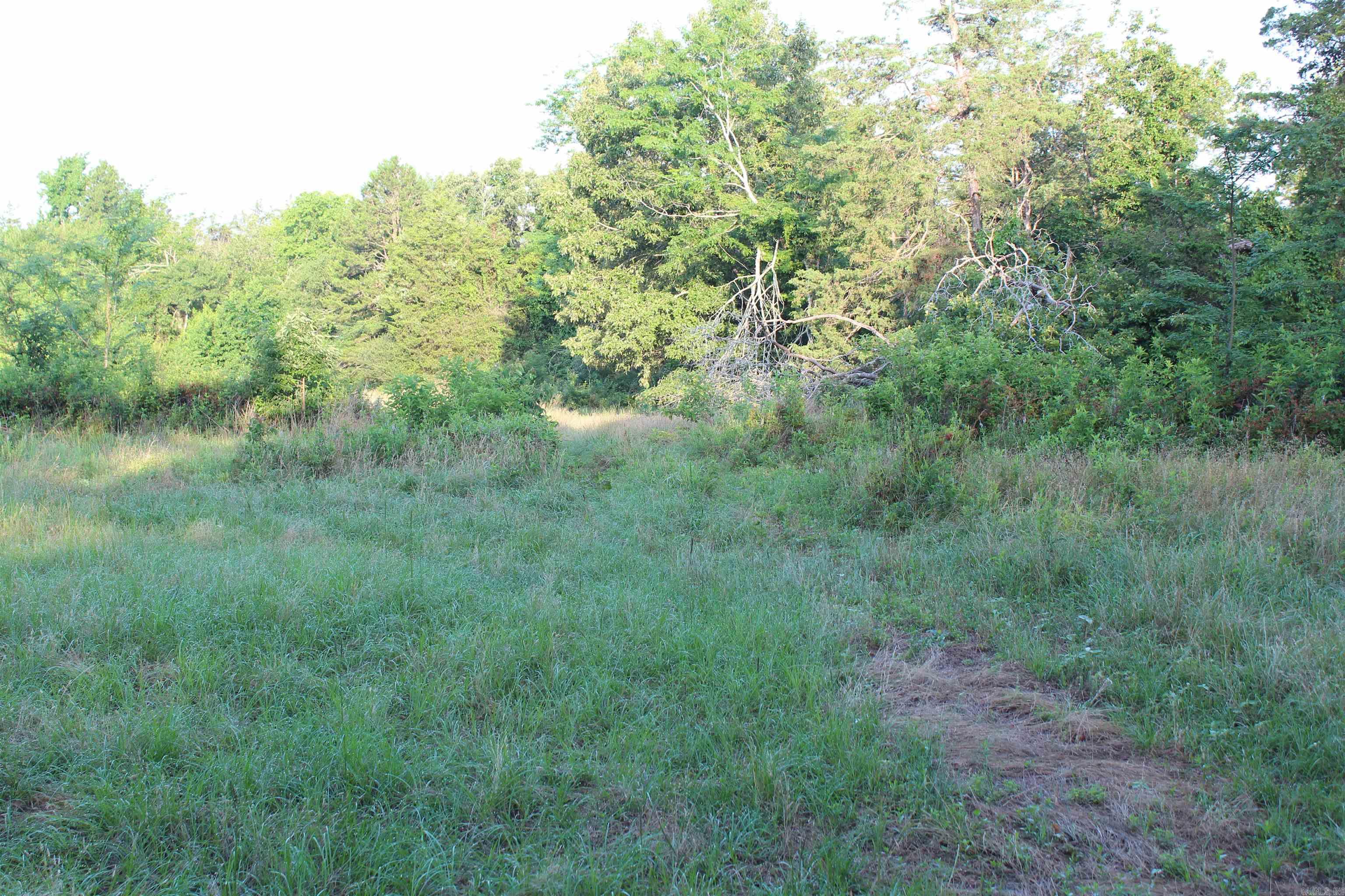000 197  New Blaine, AR