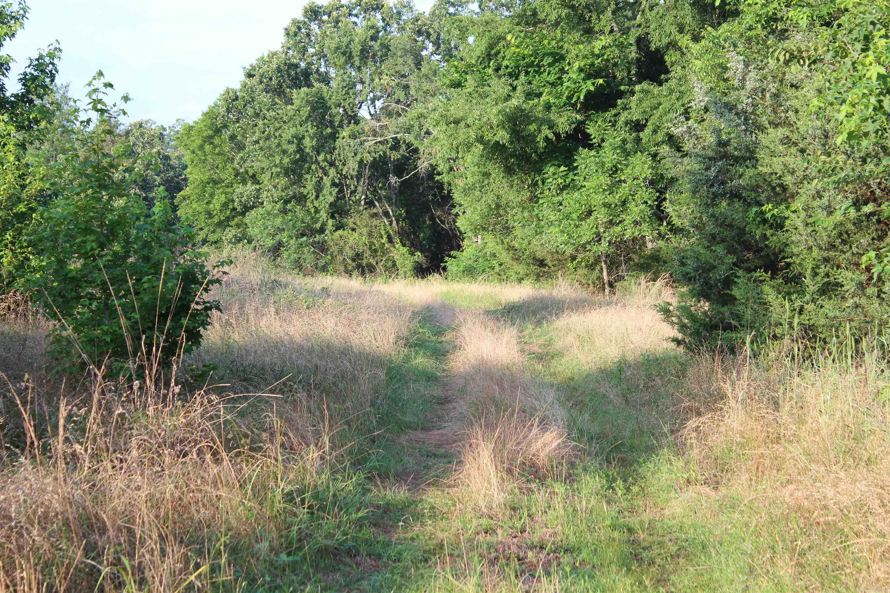 000 197  New Blaine, AR