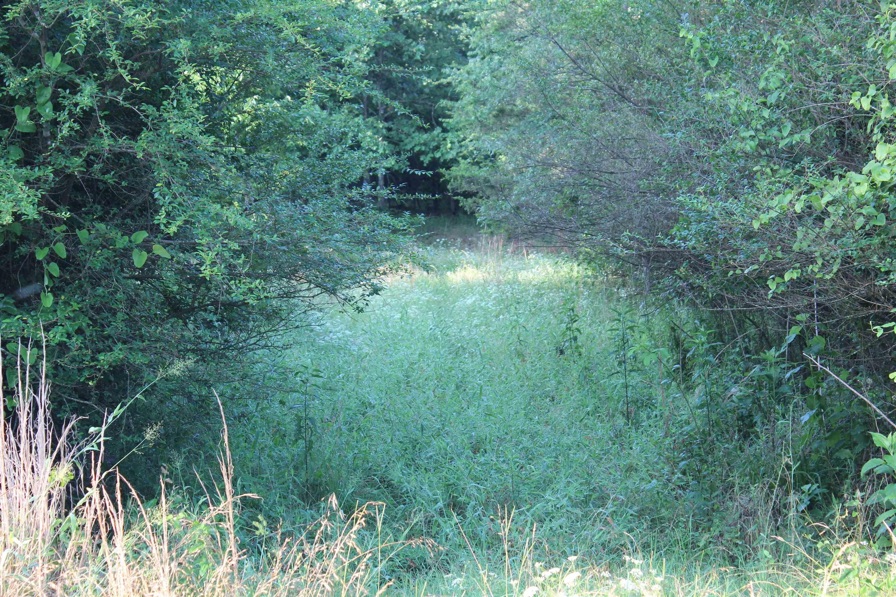 000 197  New Blaine, AR