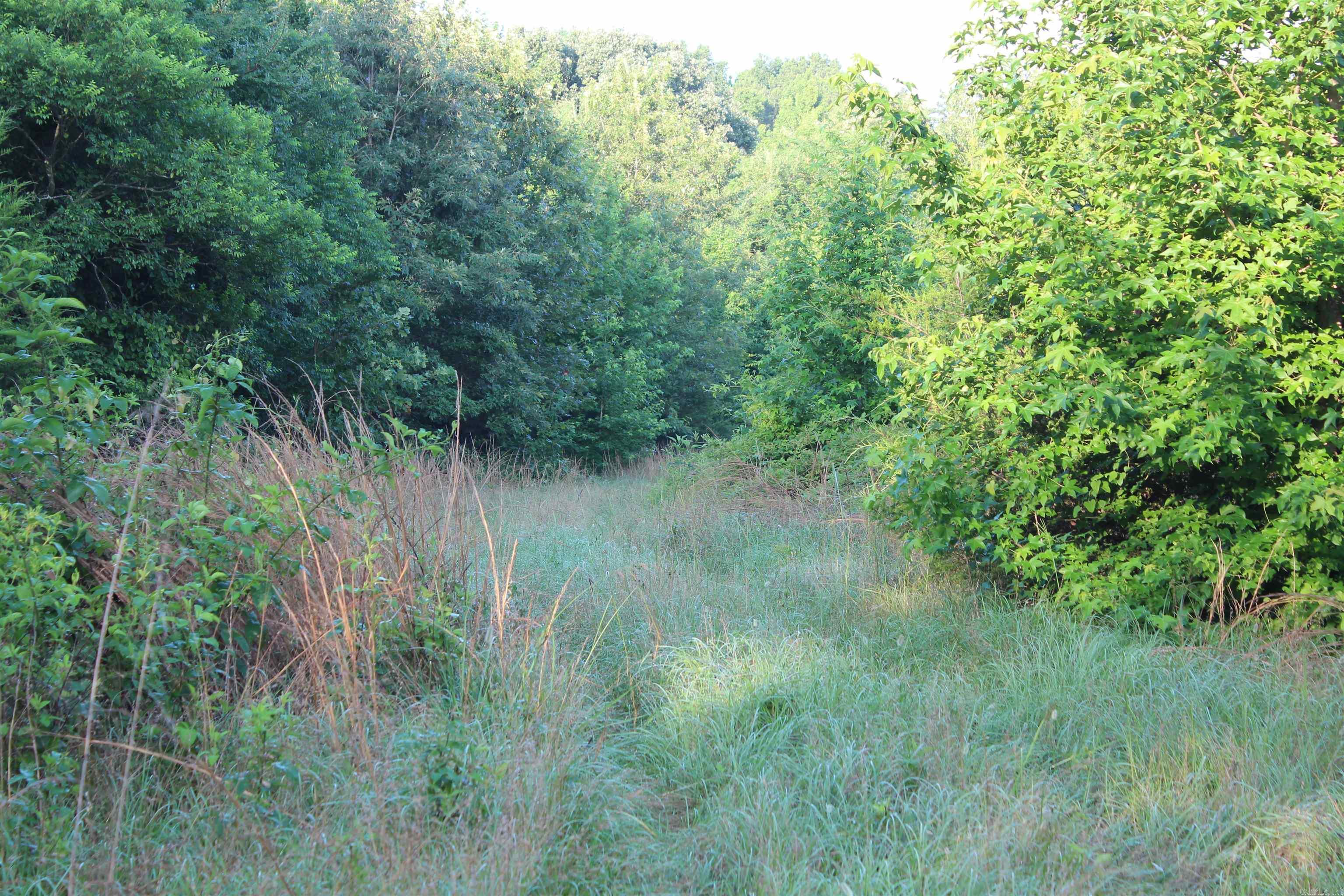 000 197  New Blaine, AR