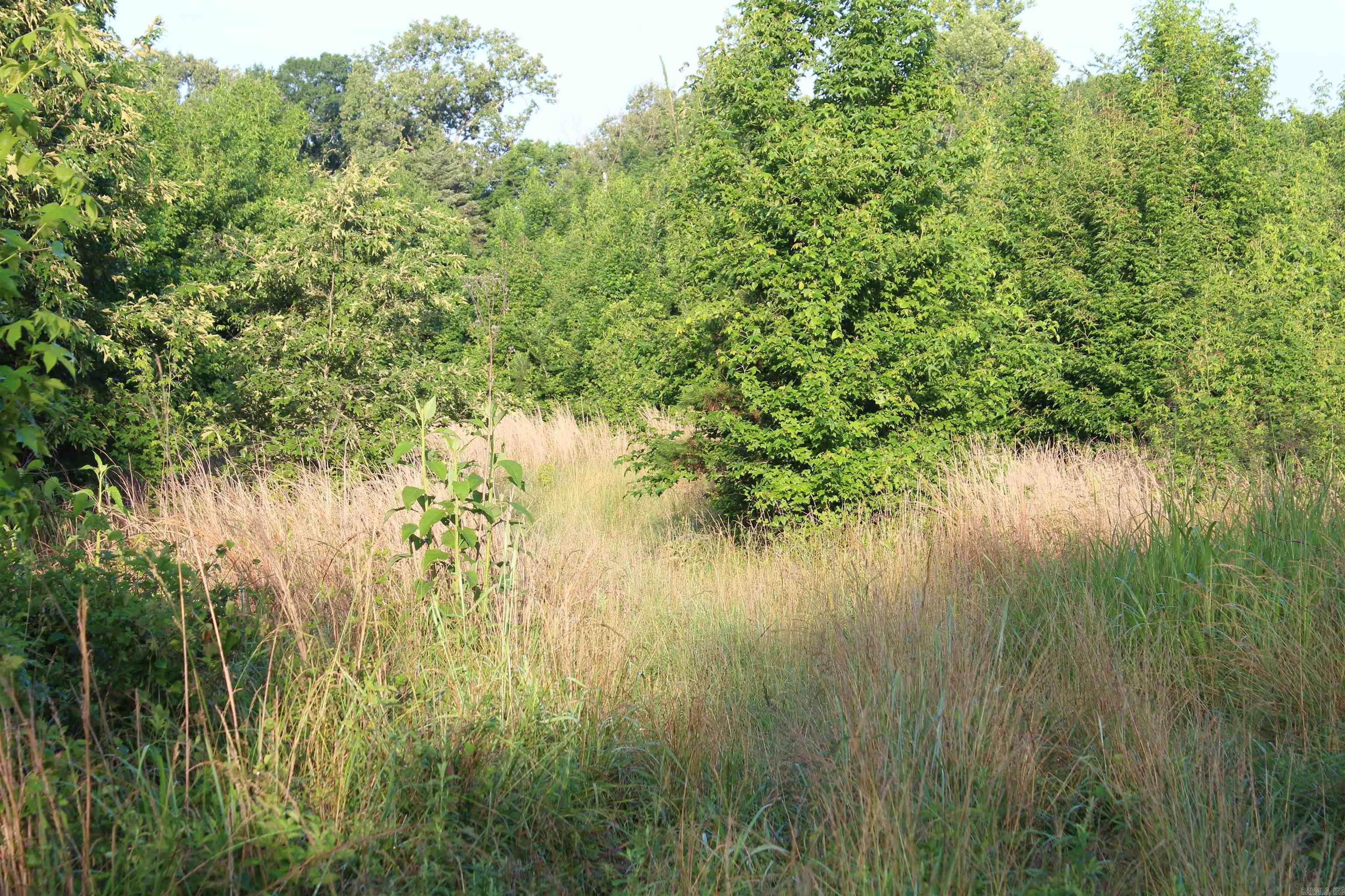 000 197  New Blaine, AR